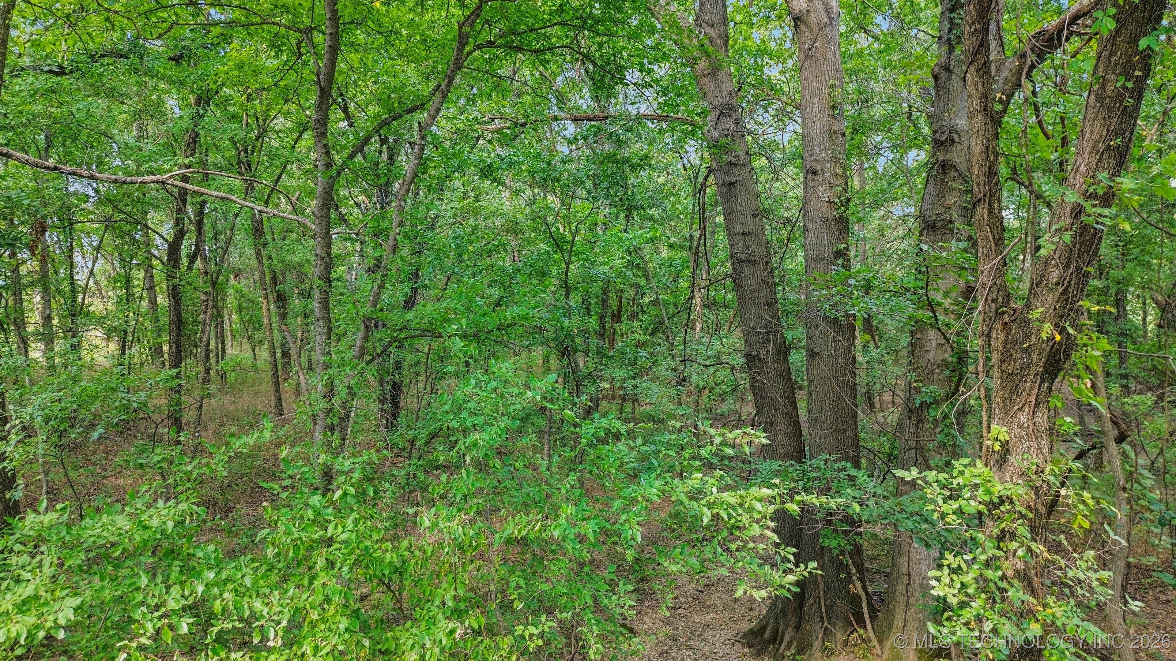 27092 S Sugar Lane Property Photo 15