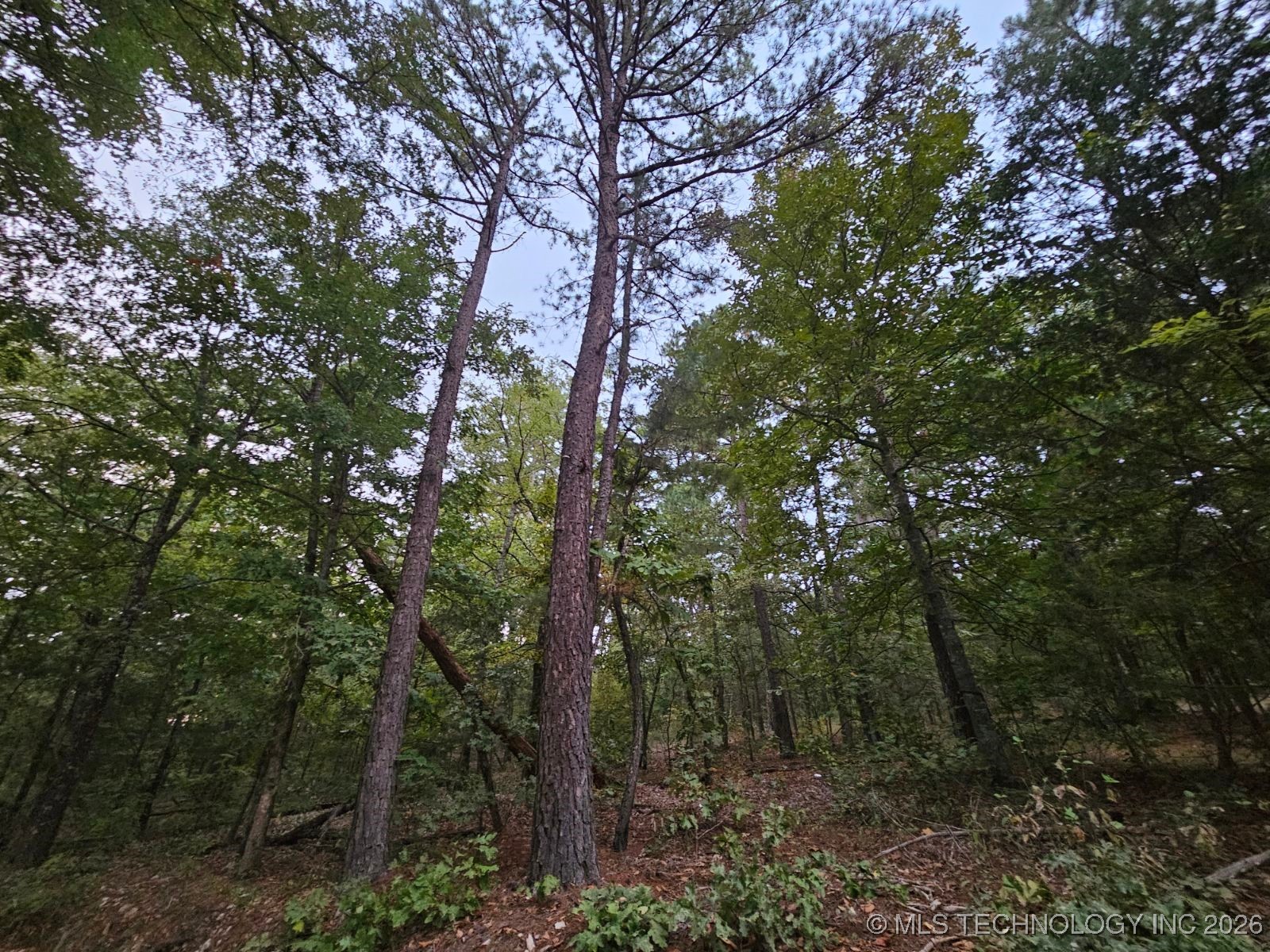 S 600 Road Property Photo 1