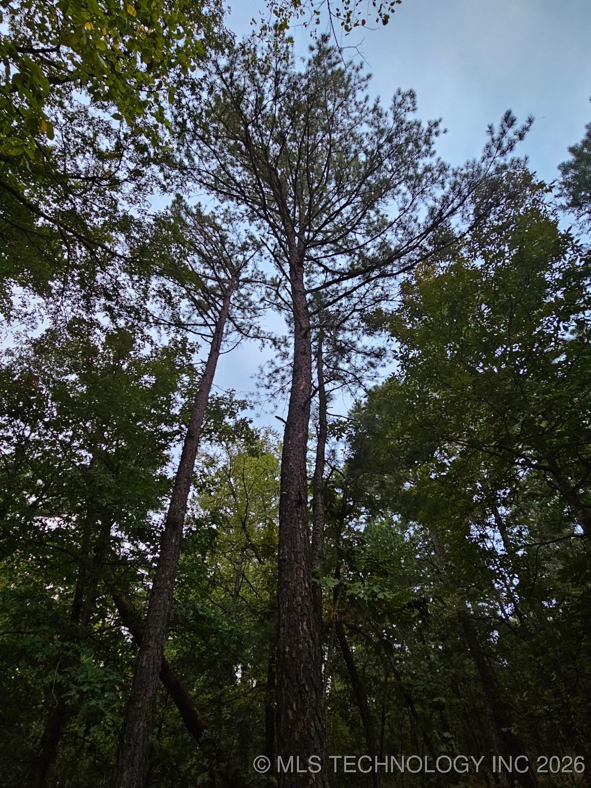 S 600 Road Property Photo 2