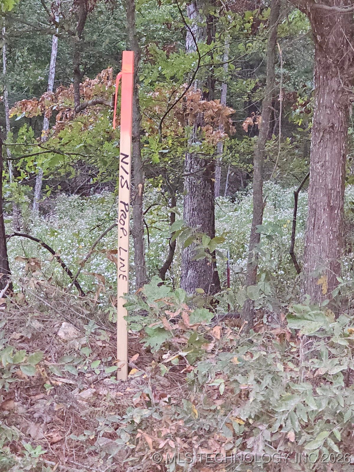 S 600 Road Property Photo 3