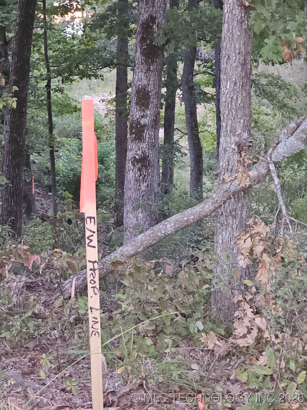 S 600 Road Property Photo 4