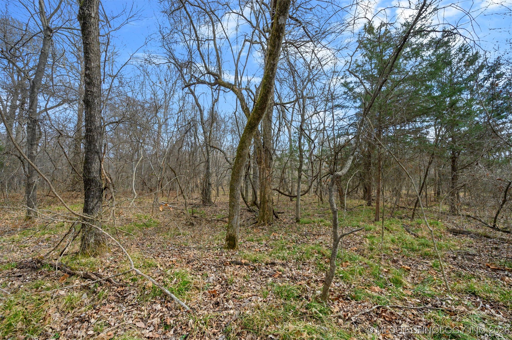 20 E 2010 Road Property Photo 9