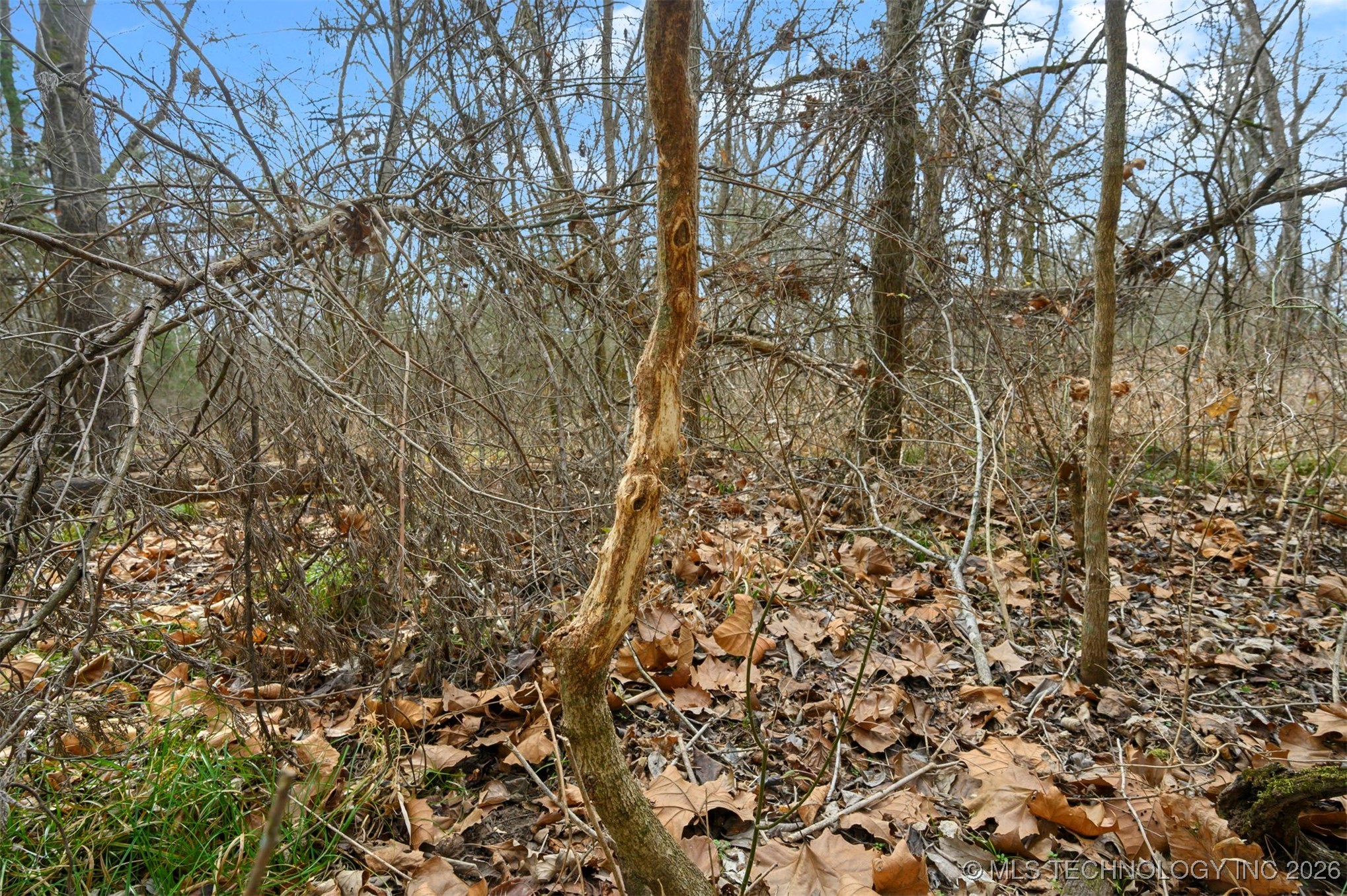 20 E 2010 Road Property Photo 10