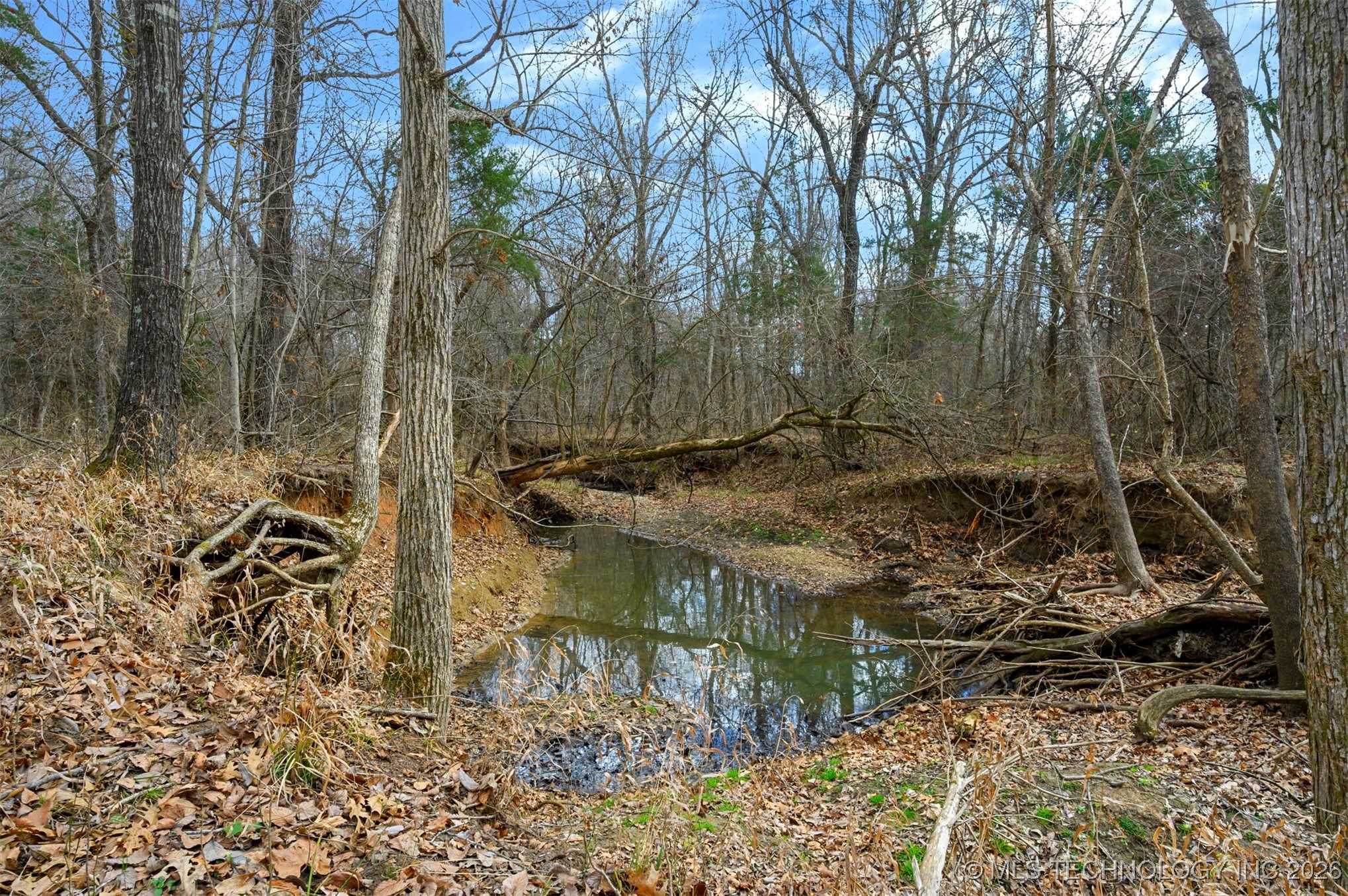 20 E 2010 Road Property Photo 11