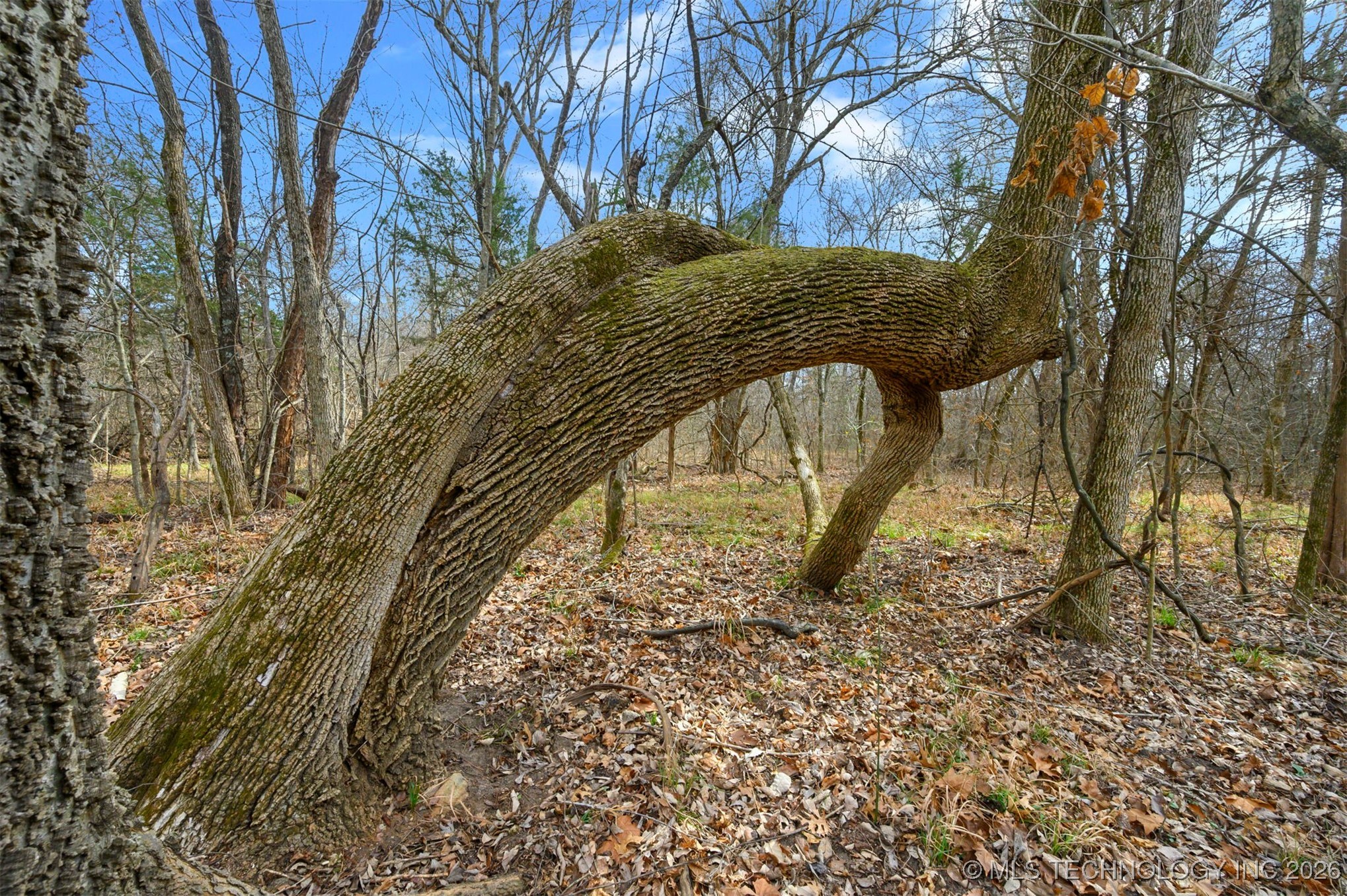 20 E 2010 Road Property Photo 12