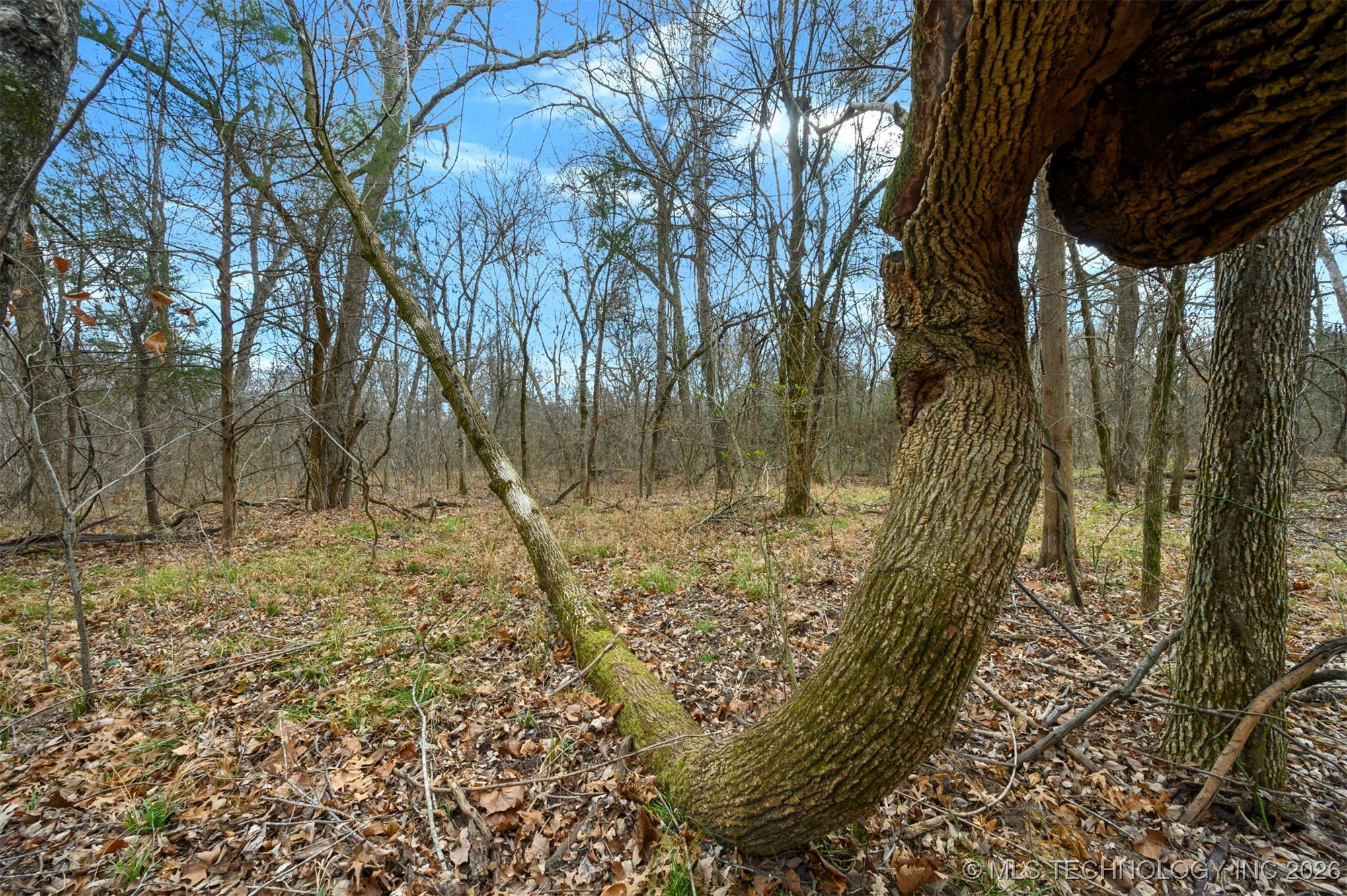 20 E 2010 Road Property Photo 13