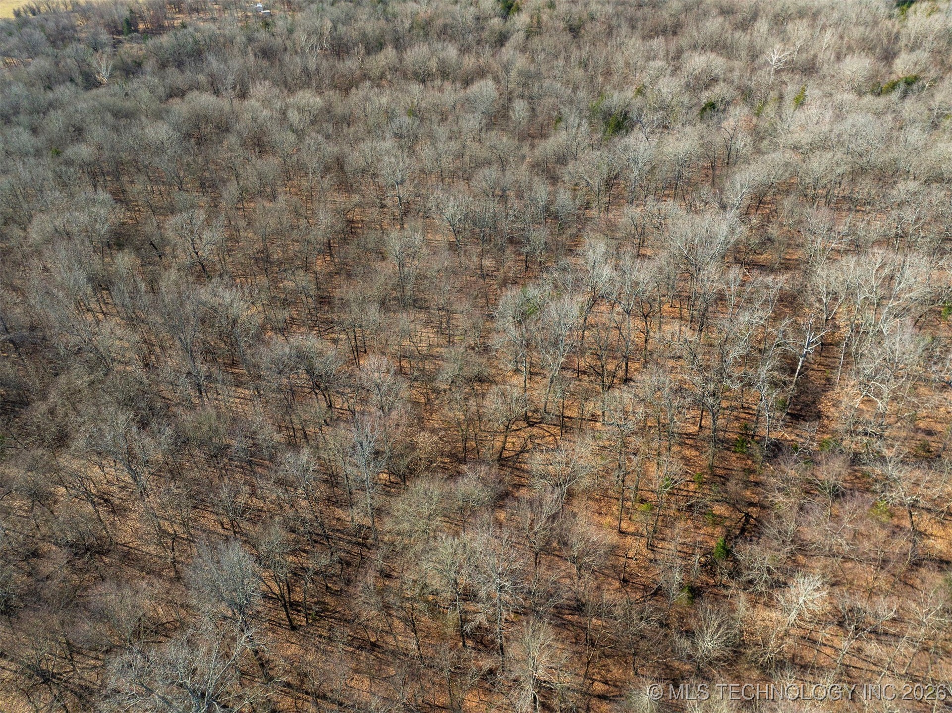 40 N 4180 Road Property Photo 6