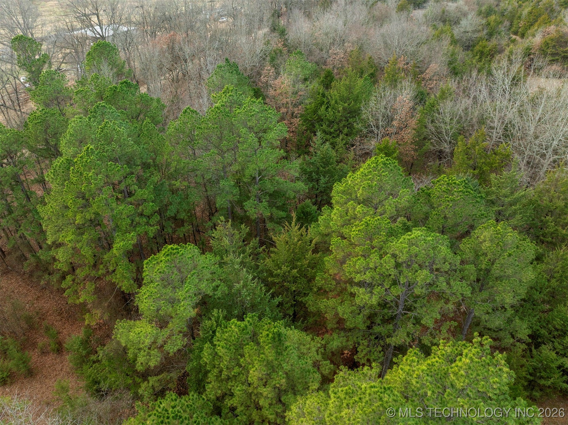 40 E 2010 Road Property Photo 3