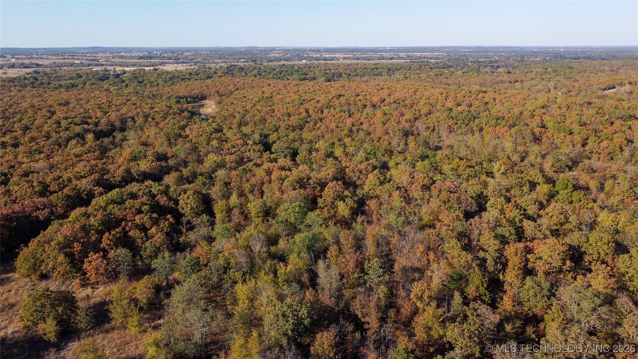 11447 Mary Knox Drive Property Photo 3