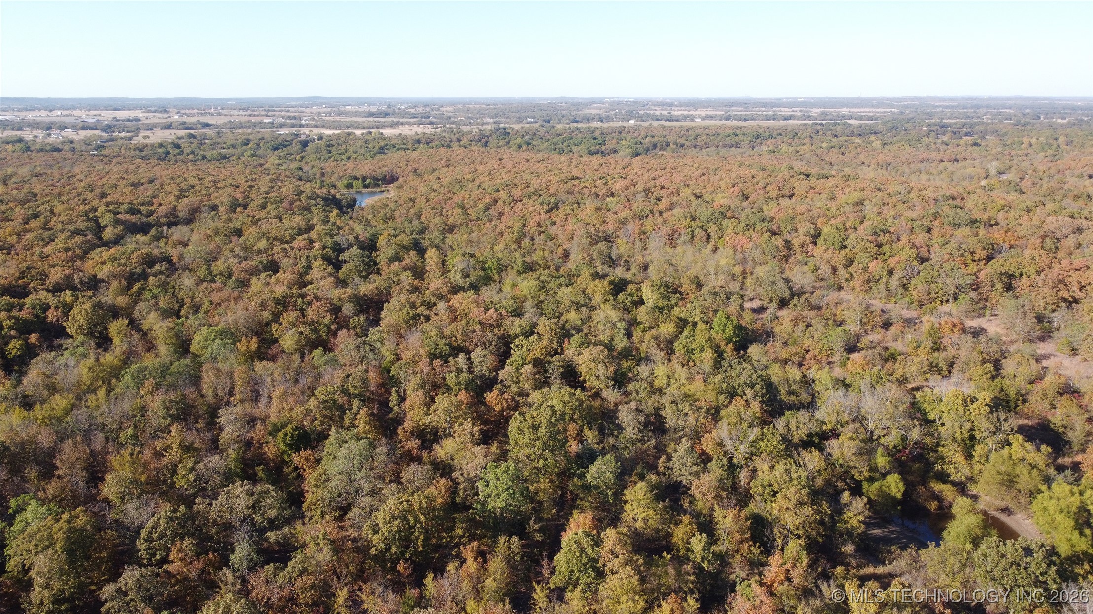 11447 Mary Knox Drive Property Photo 8