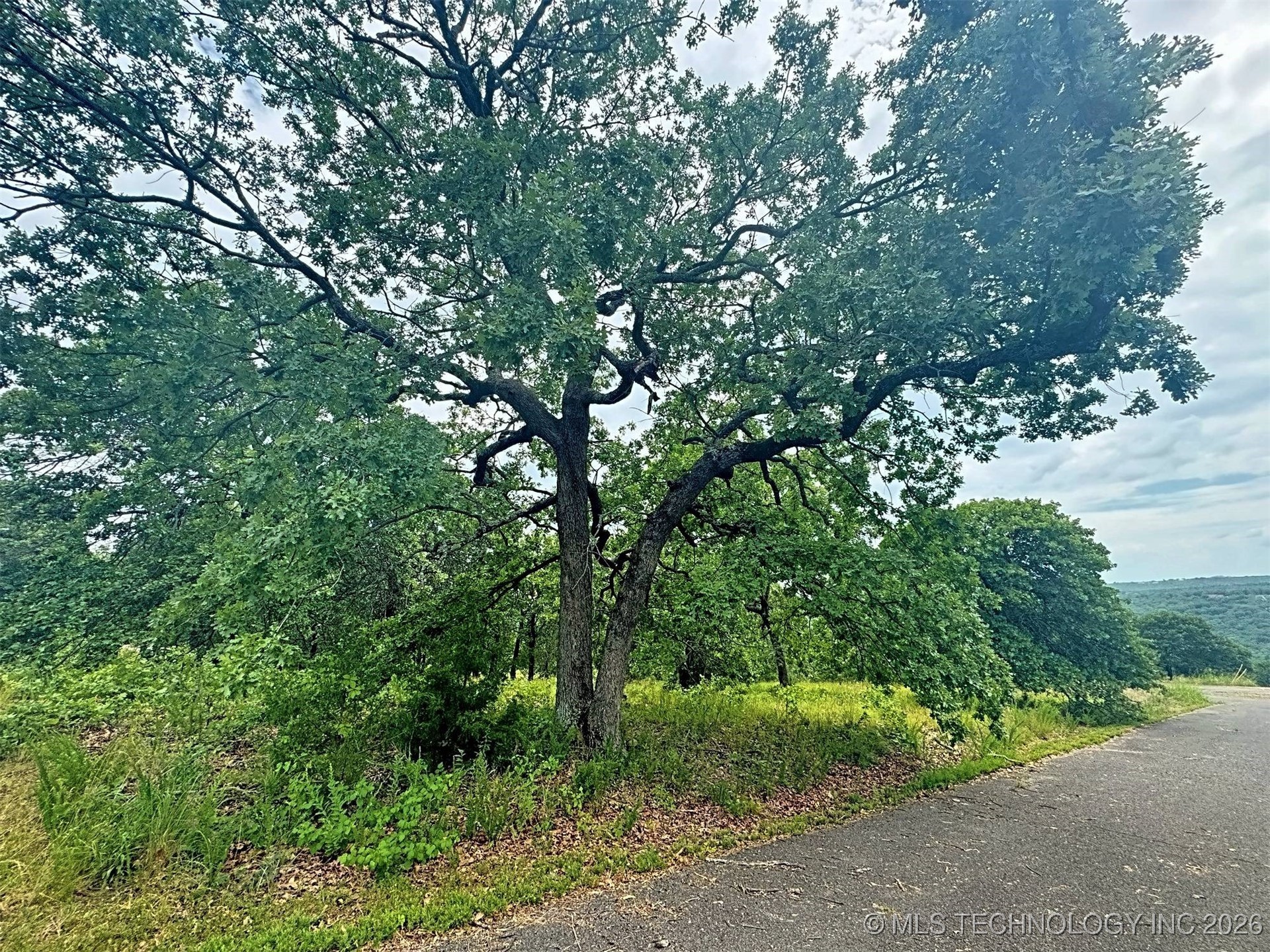 19465 E Maple Lane Property Photo 8