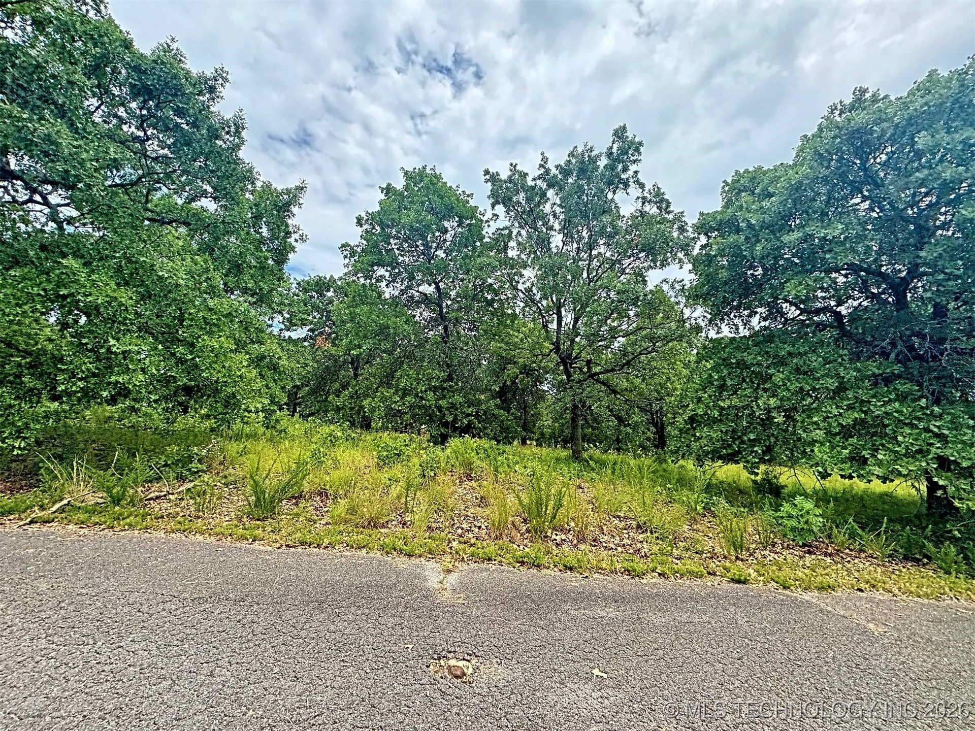 19465 E Maple Lane Property Photo 11