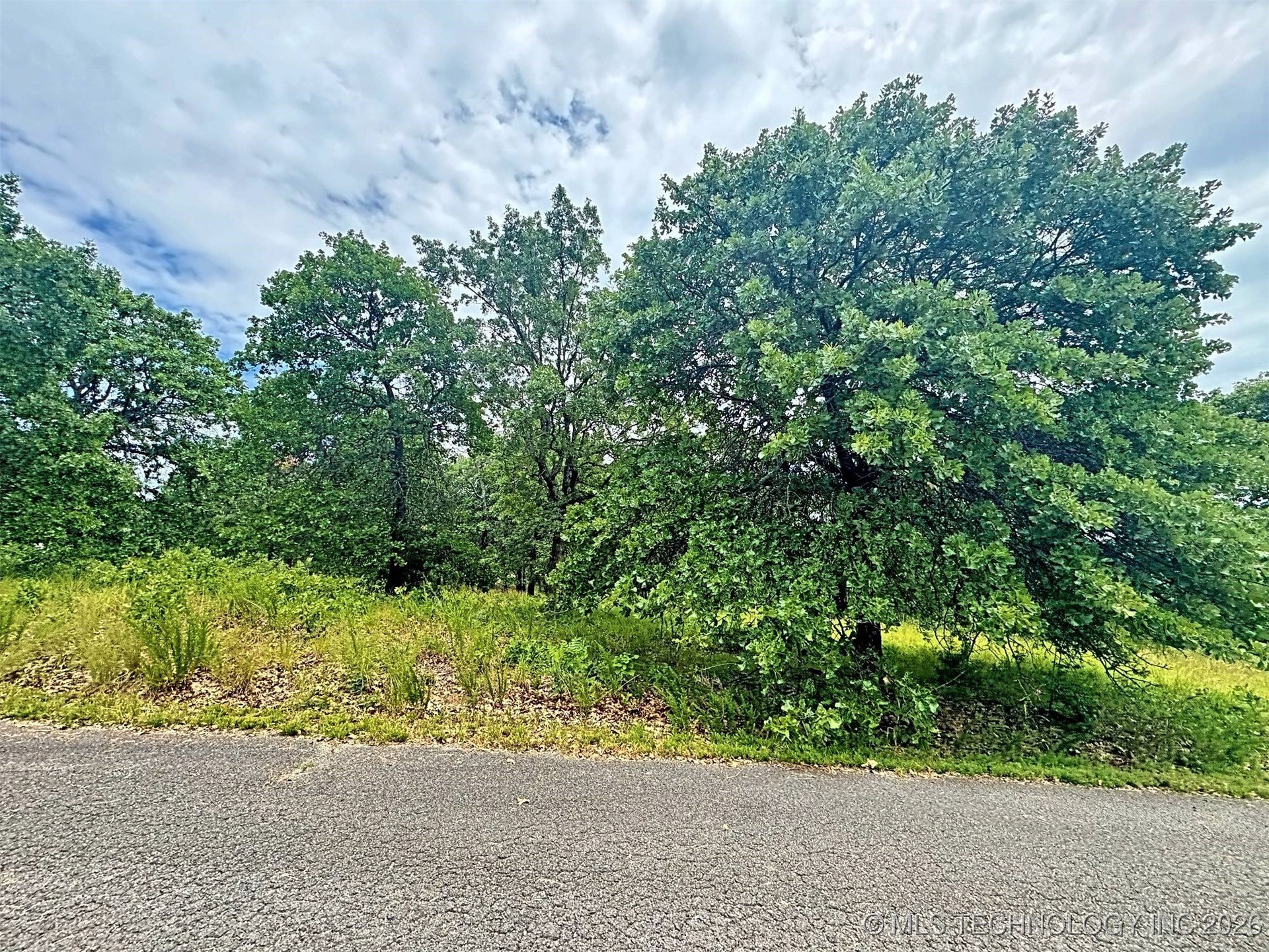 19465 E Maple Lane Property Photo 14