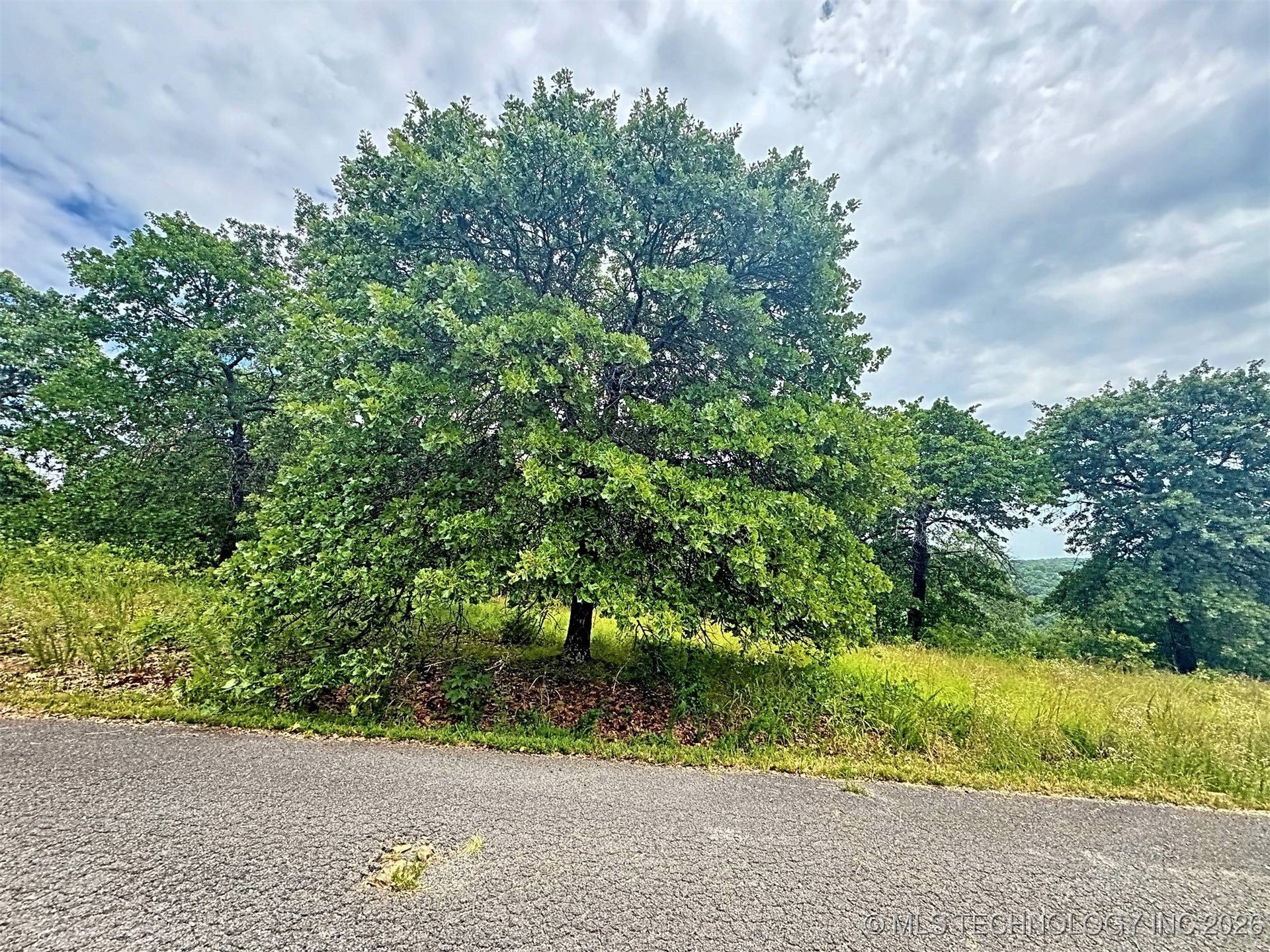 19465 E Maple Lane Property Photo 15