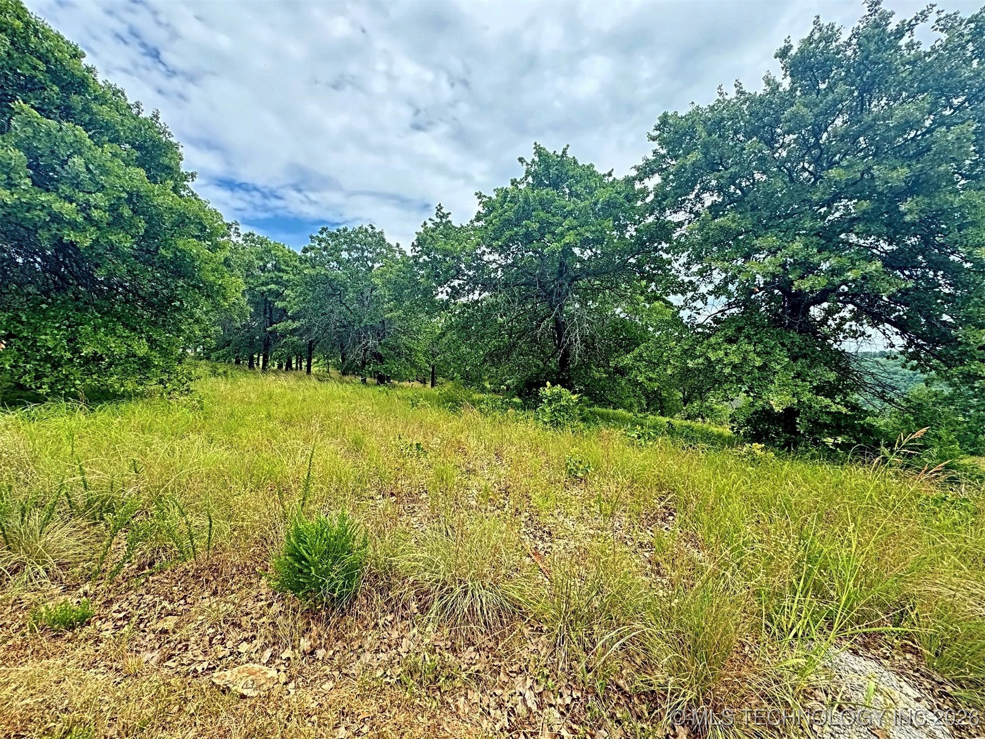 19465 E Maple Lane Property Photo 22
