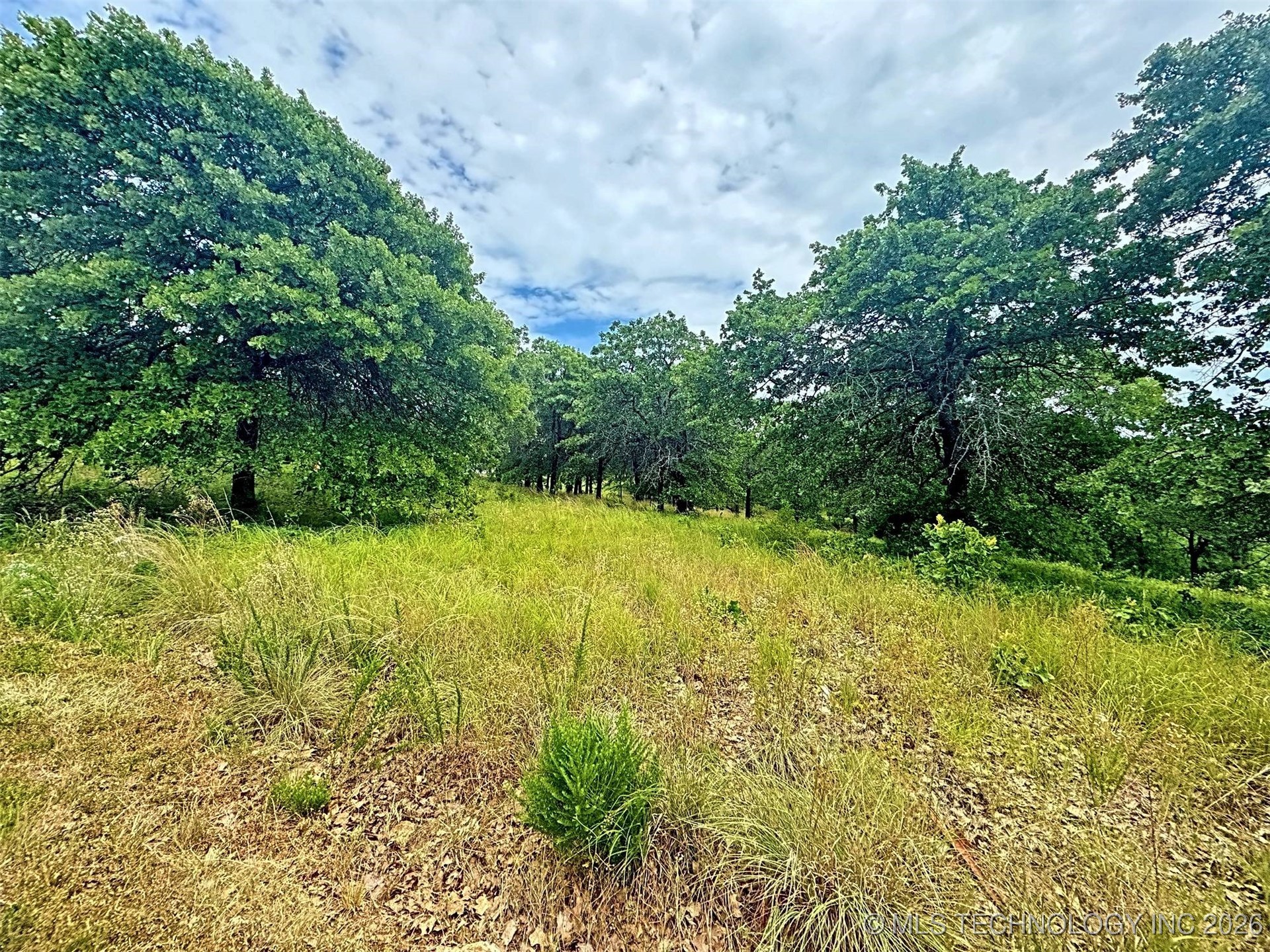 19465 E Maple Lane Property Photo 23