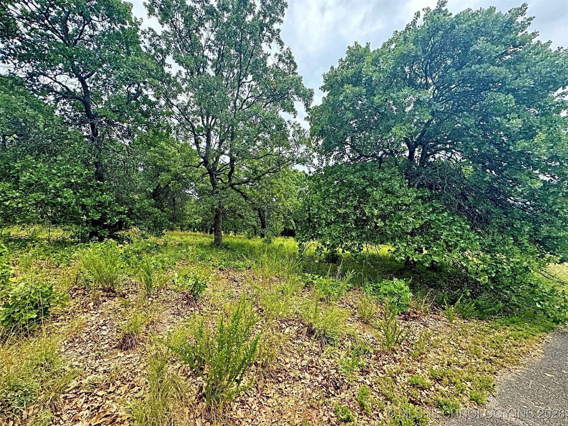 19465 E Maple Lane Property Photo 26