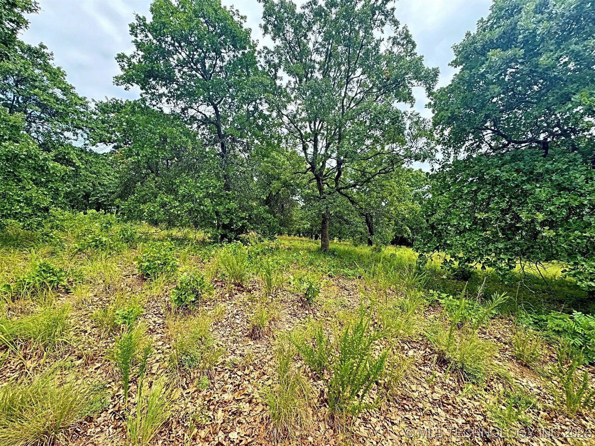 19465 E Maple Lane Property Photo 27