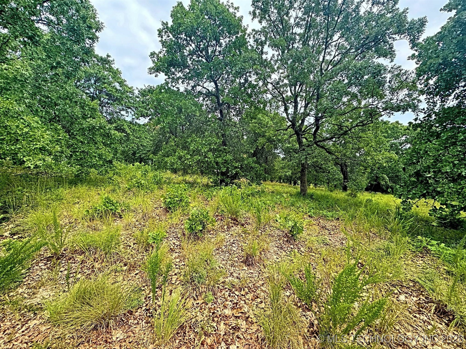 19465 E Maple Lane Property Photo 28