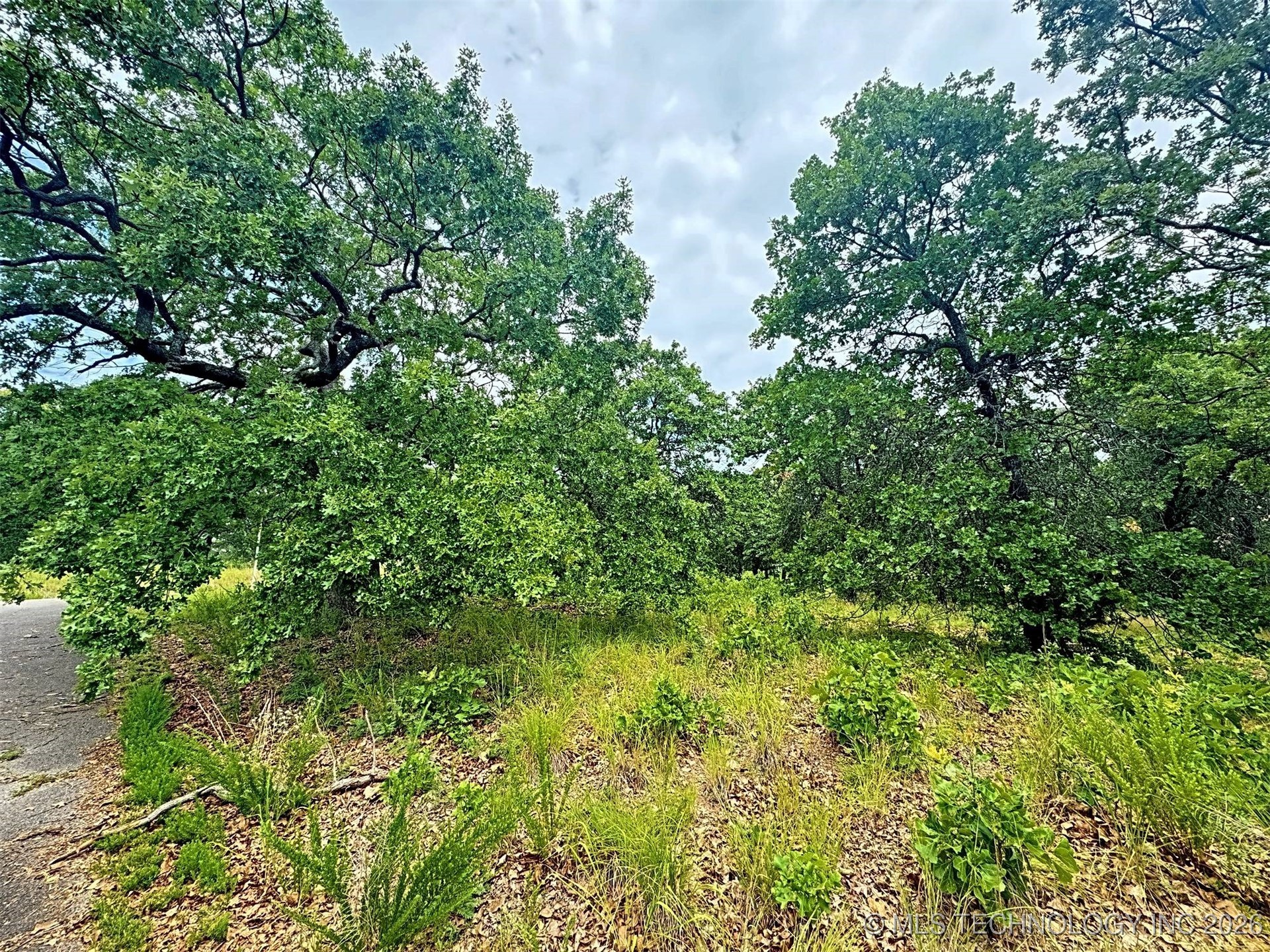 19465 E Maple Lane Property Photo 29