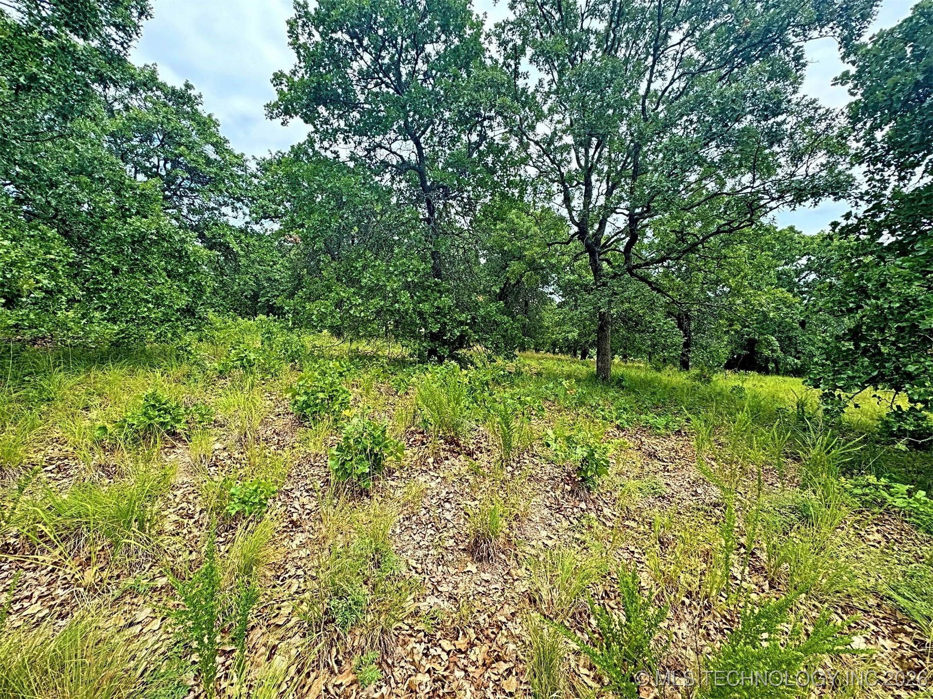19465 E Maple Lane Property Photo 30