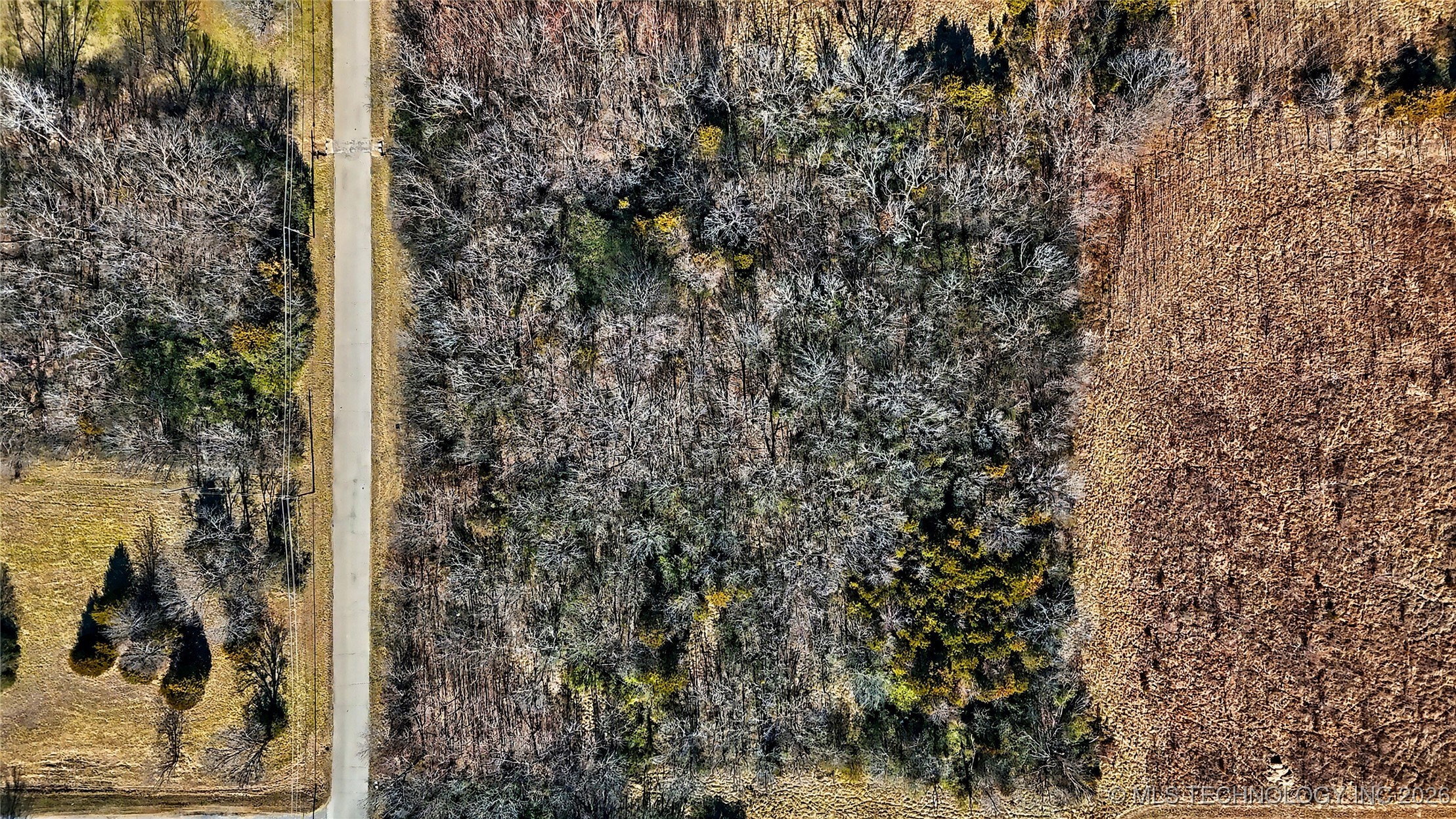 Martin Luther King Boulevard Property Photo 5