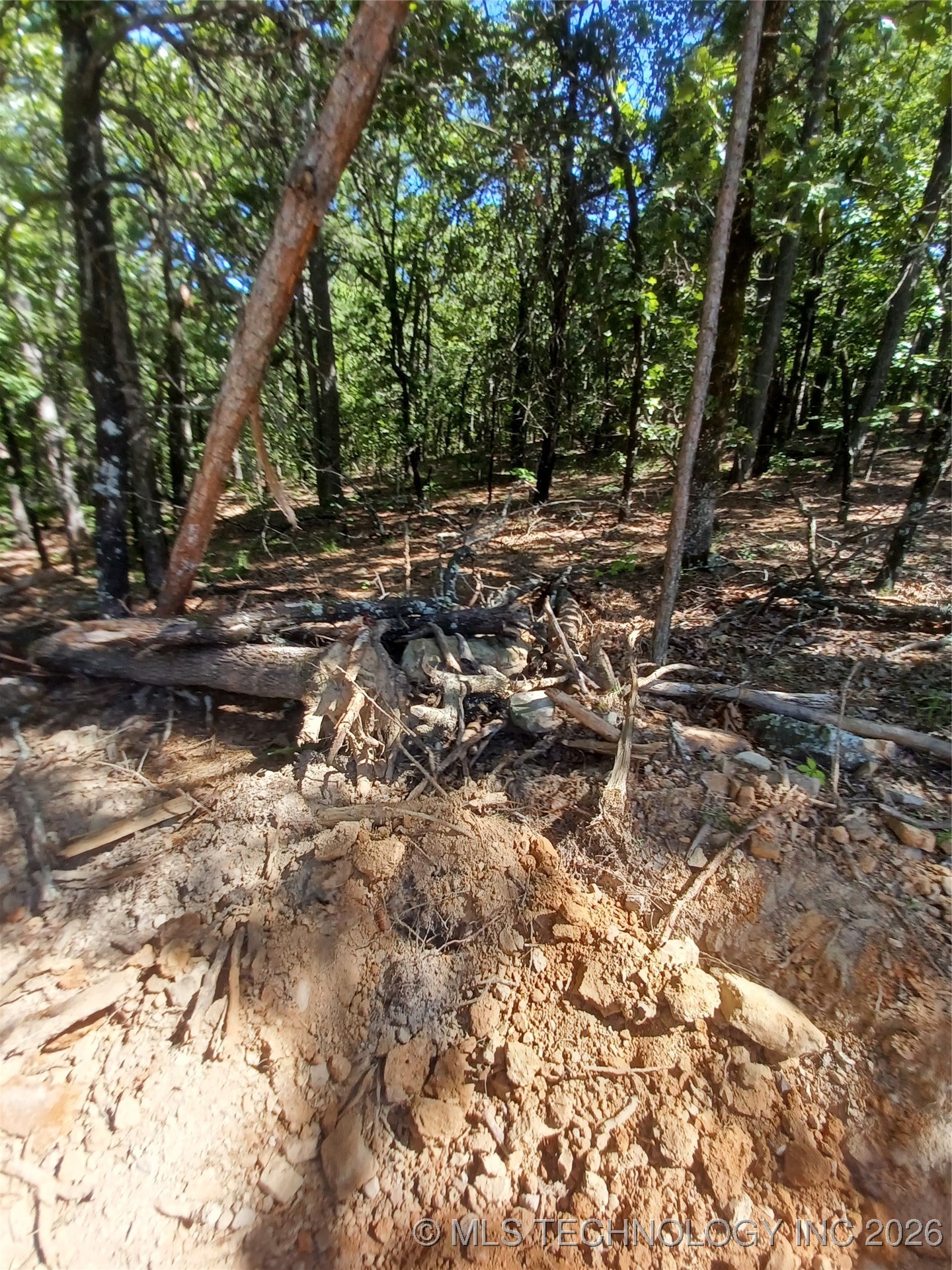 31548 4450 Property Photo 24