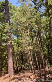 Whispering Pine Property Photo 1