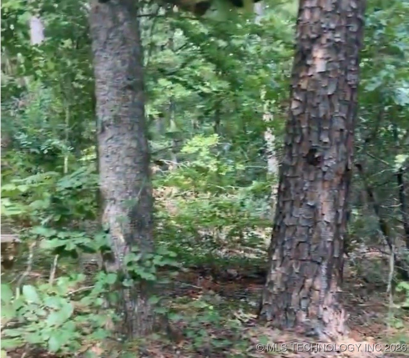 Whispering Pines Property Photo 3