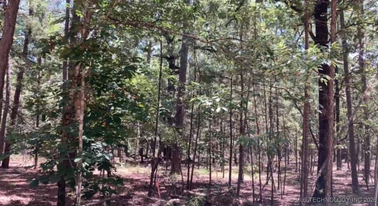 Whispering Pines Property Photo 4