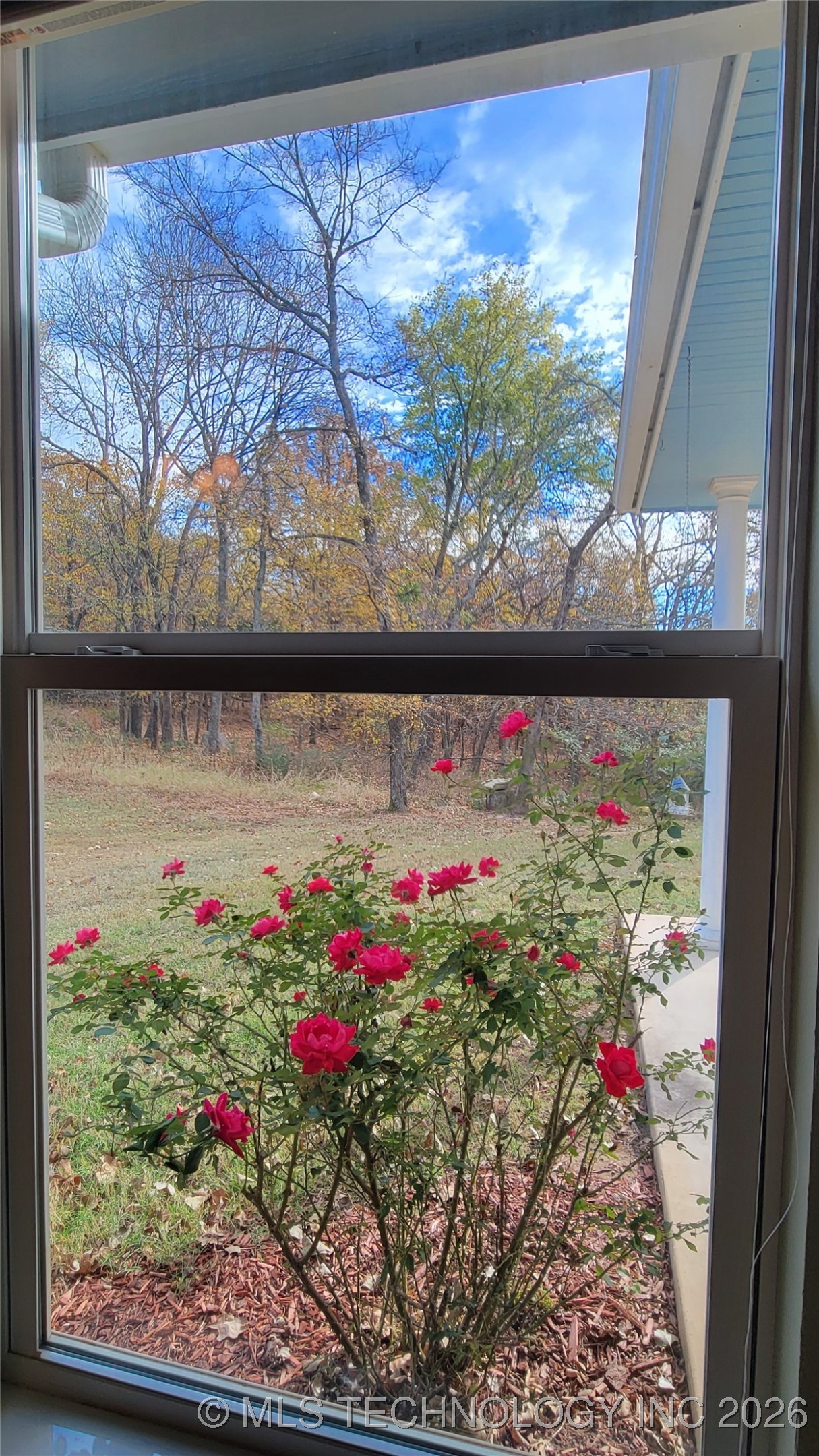 2407 E 18th Property Photo 39