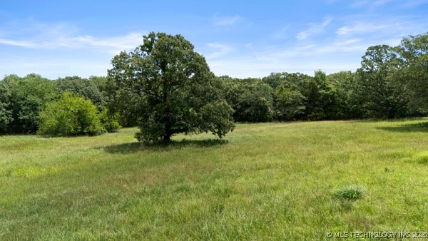 County Road 1480 Property Photo 5