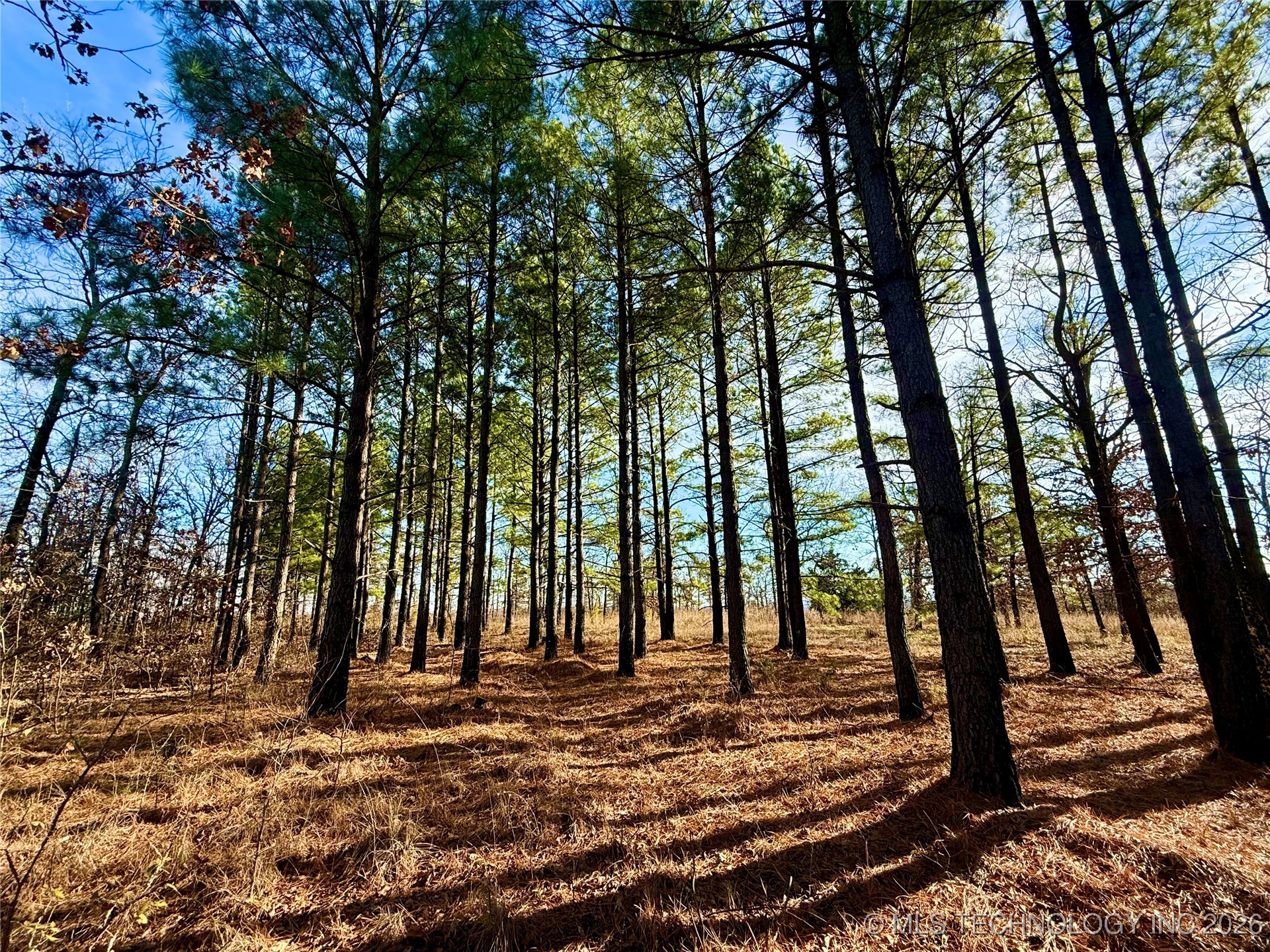 98893 S 4540 Road Property Photo 5