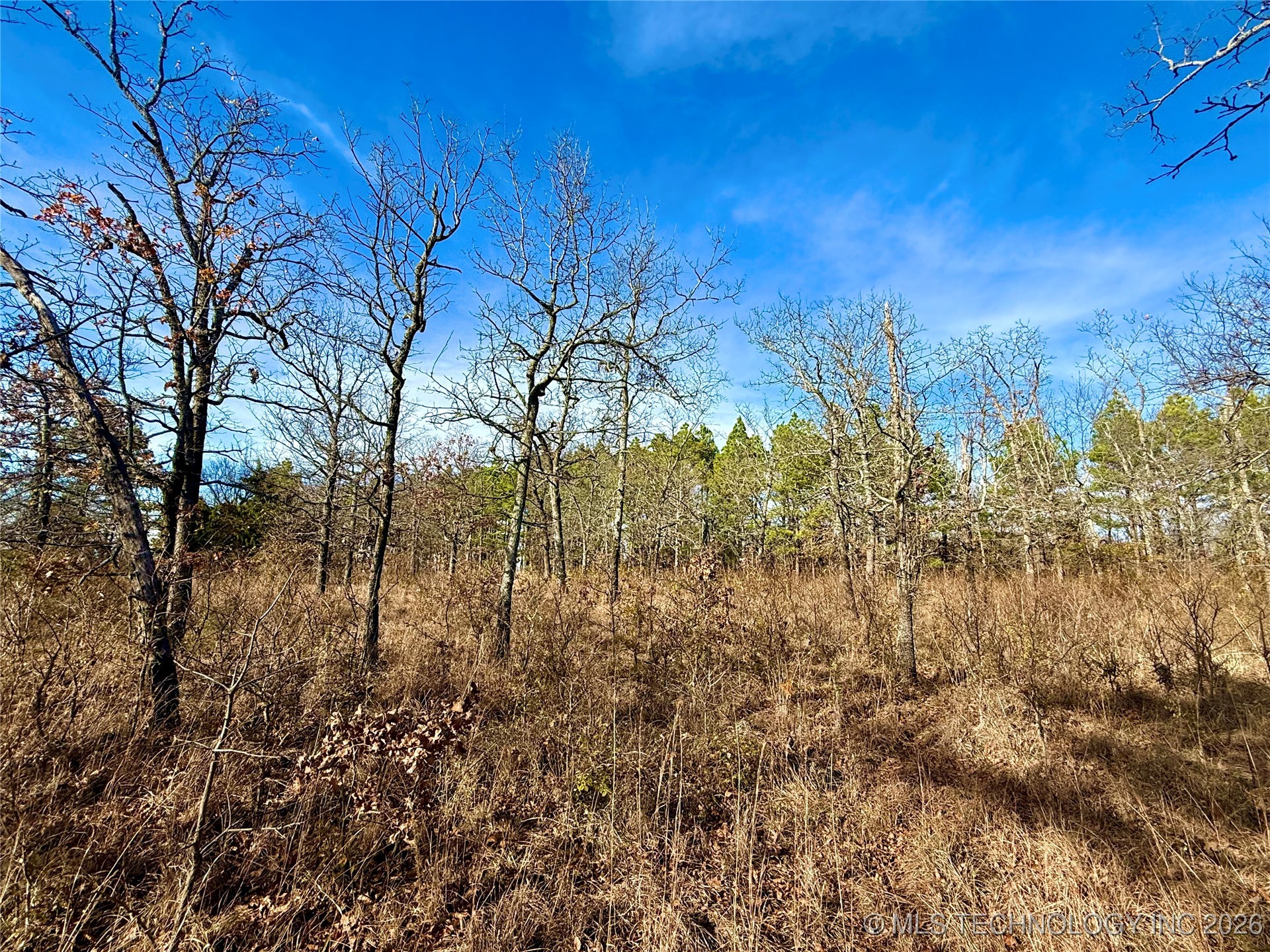 98893 S 4540 Road Property Photo 6