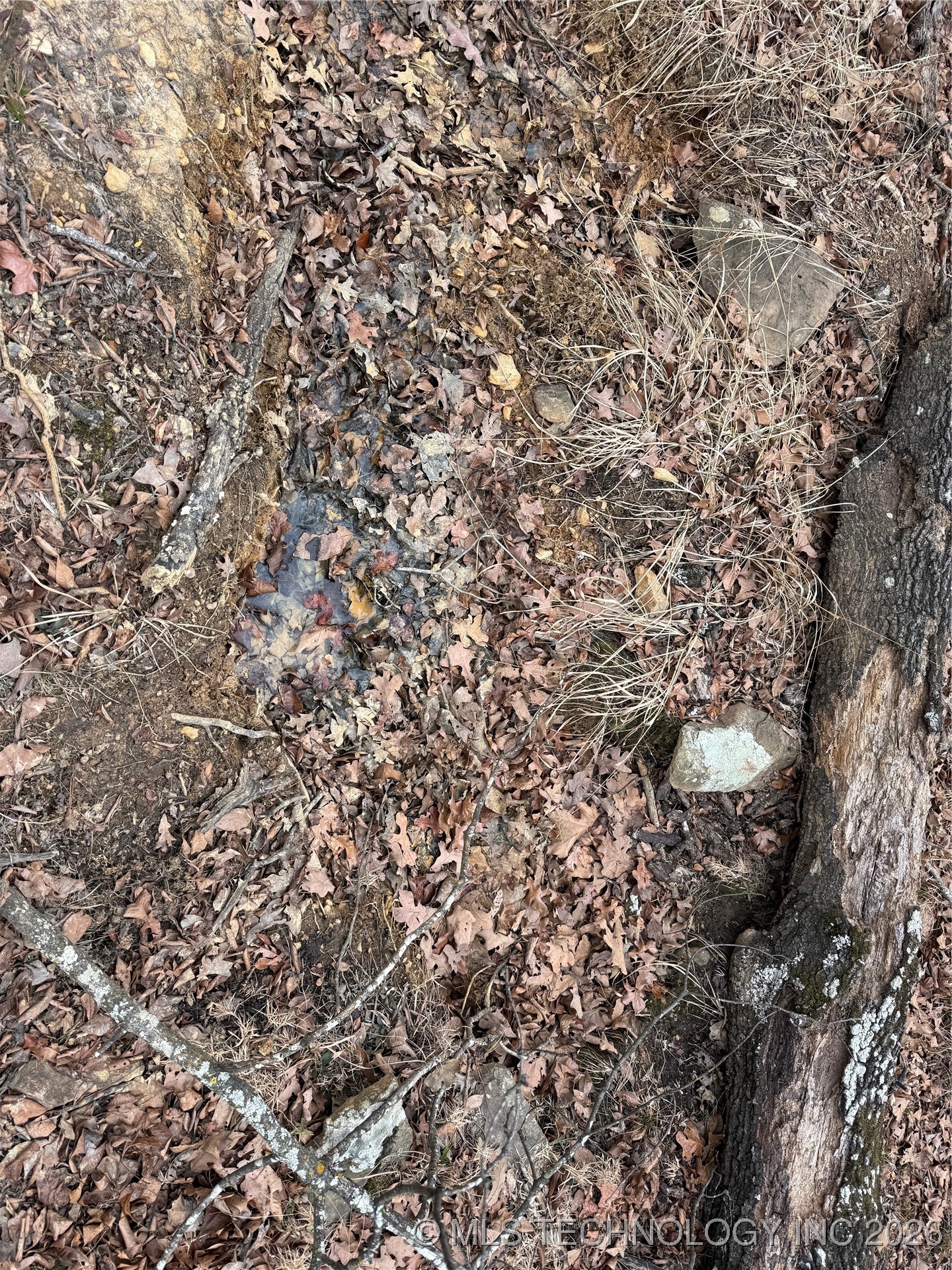 98893 S 4540 Road Property Photo 7