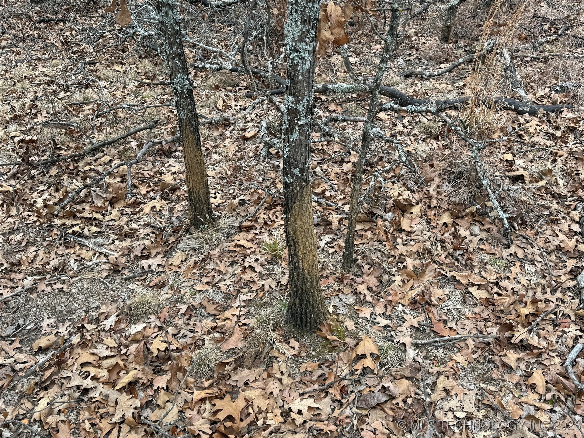 98893 S 4540 Road Property Photo 8