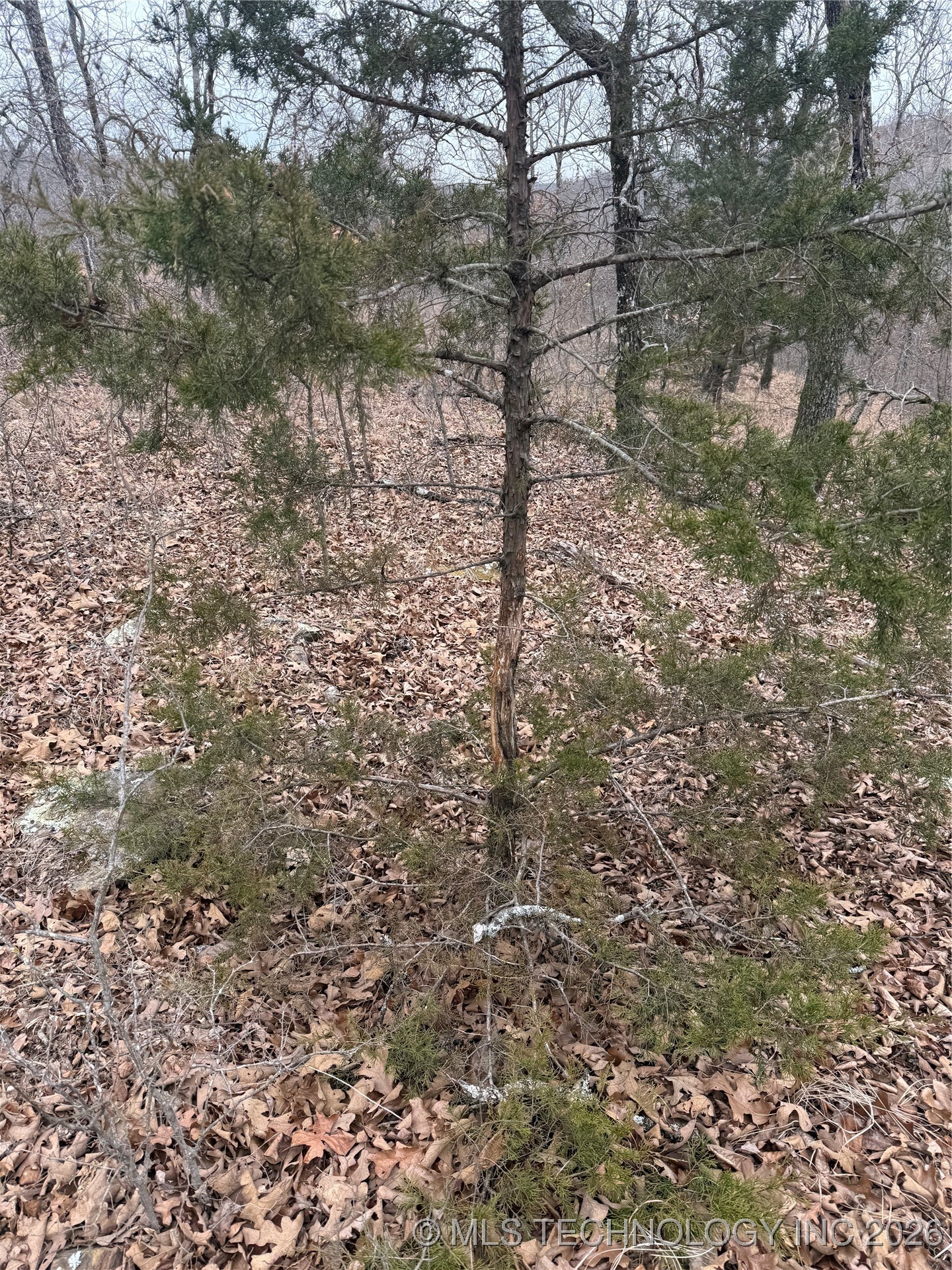 98893 S 4540 Road Property Photo 9