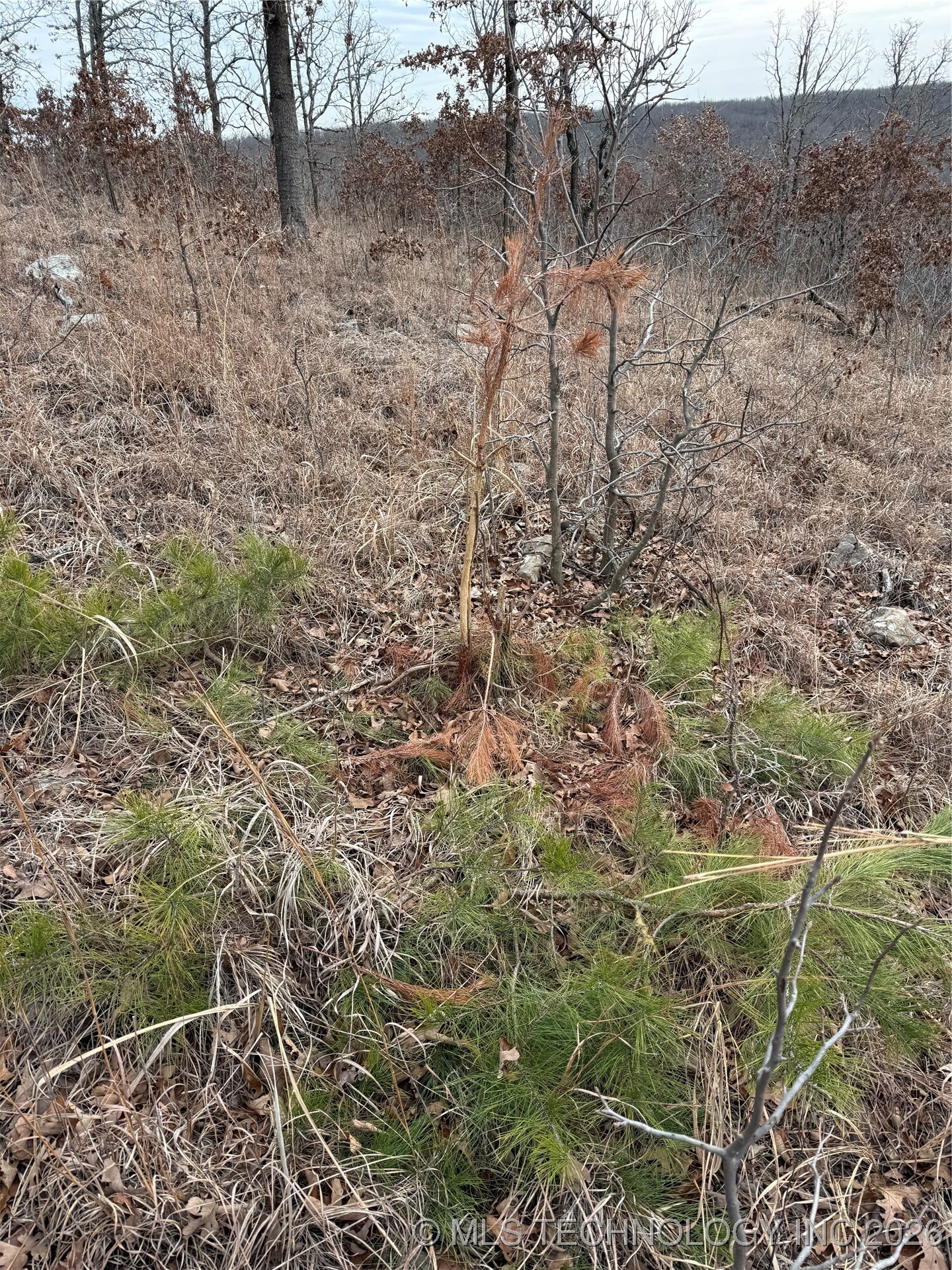 98893 S 4540 Road Property Photo 10