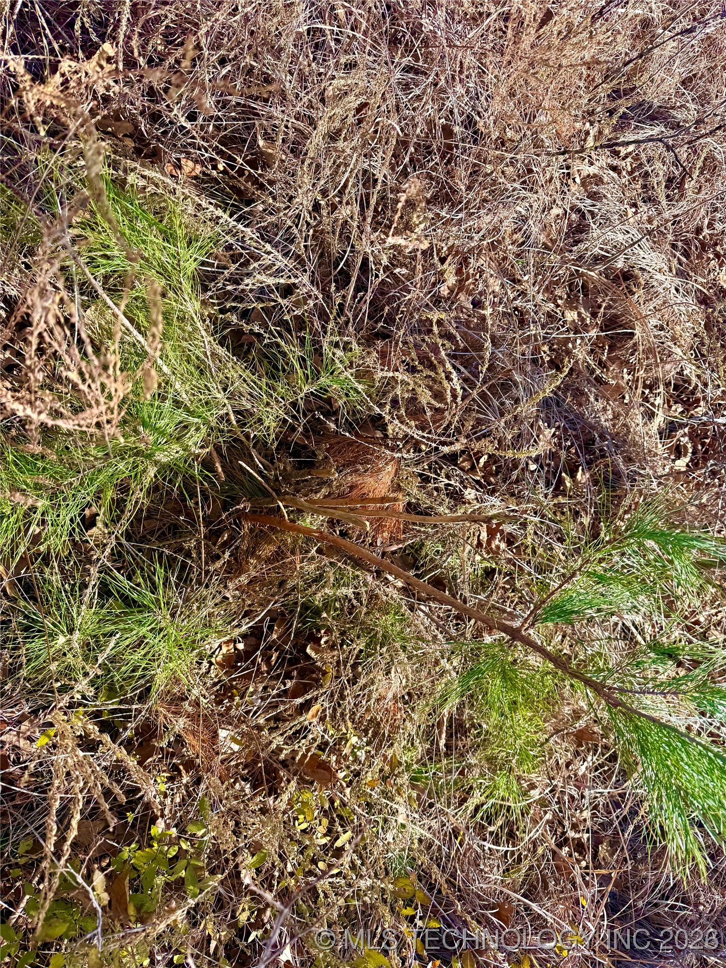 98893 S 4540 Road Property Photo 14