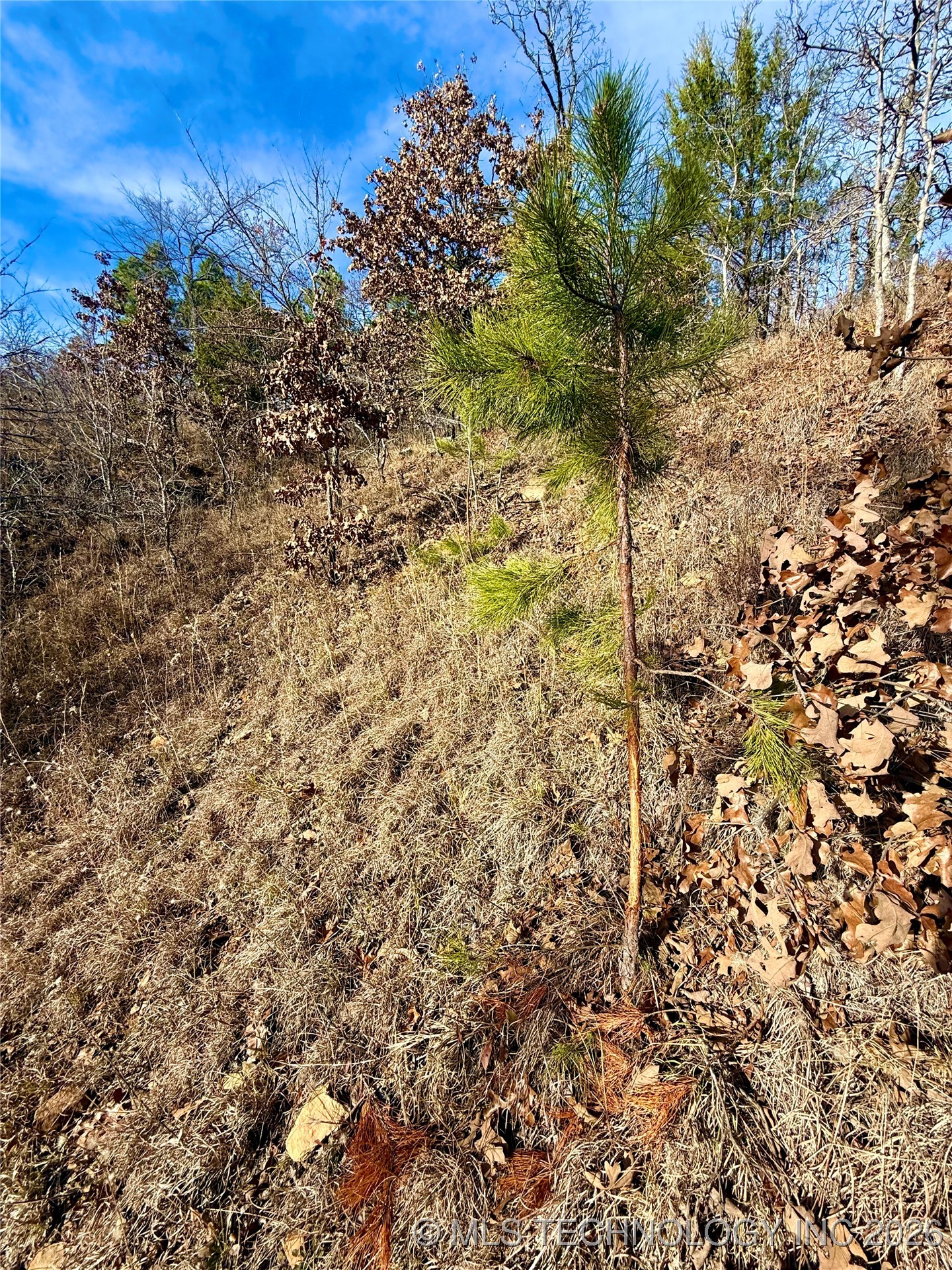 98893 S 4540 Road Property Photo 17