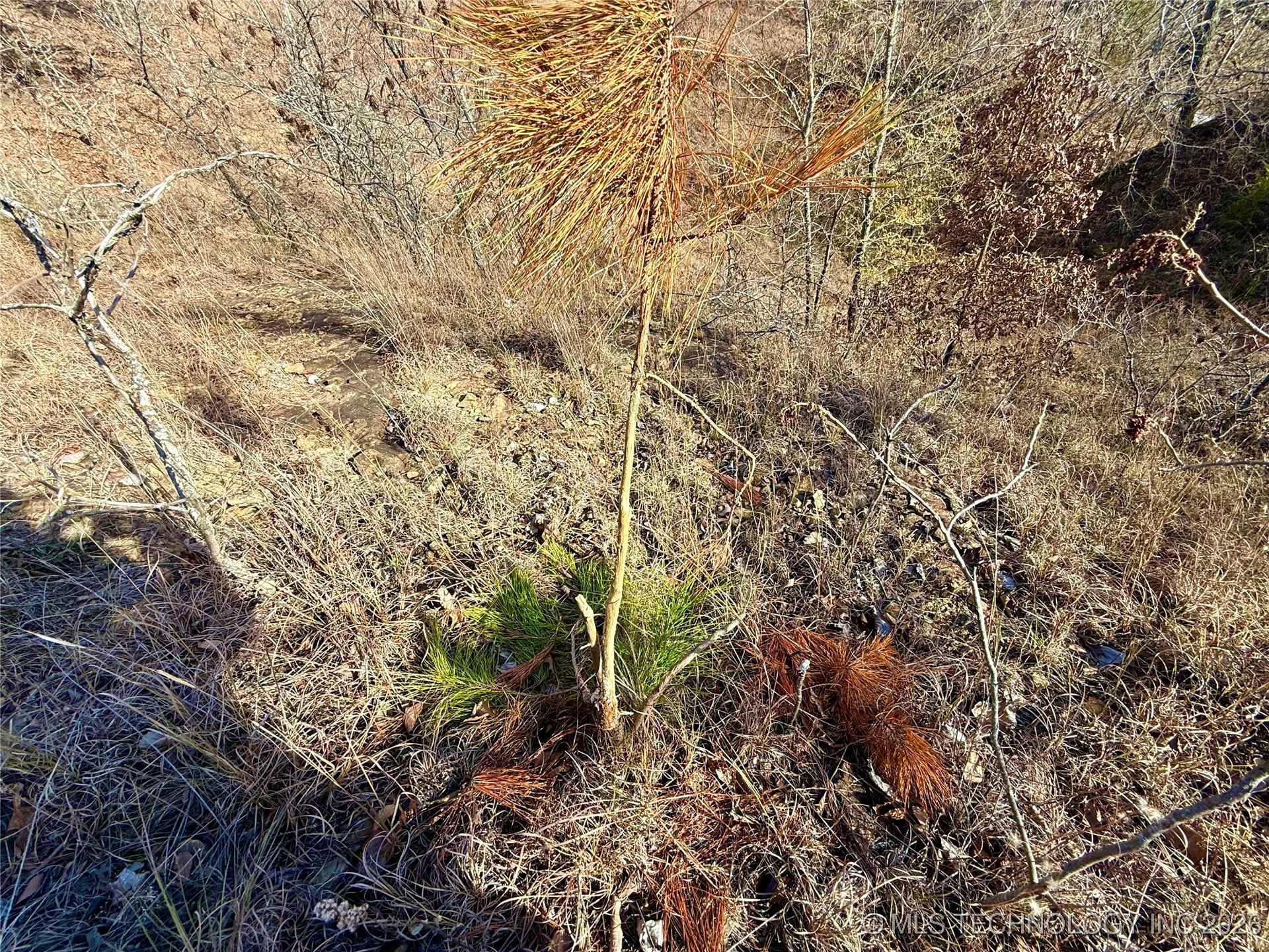 98893 S 4540 Road Property Photo 18