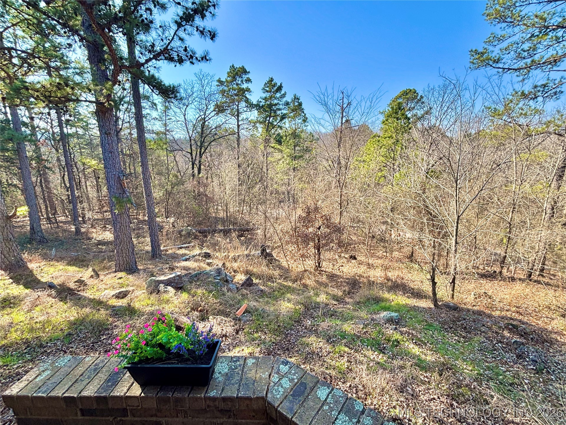 48380 Caughern Lane Property Photo 49