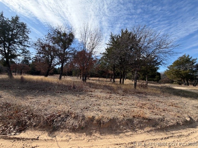 157 Oakwood Property Photo 4