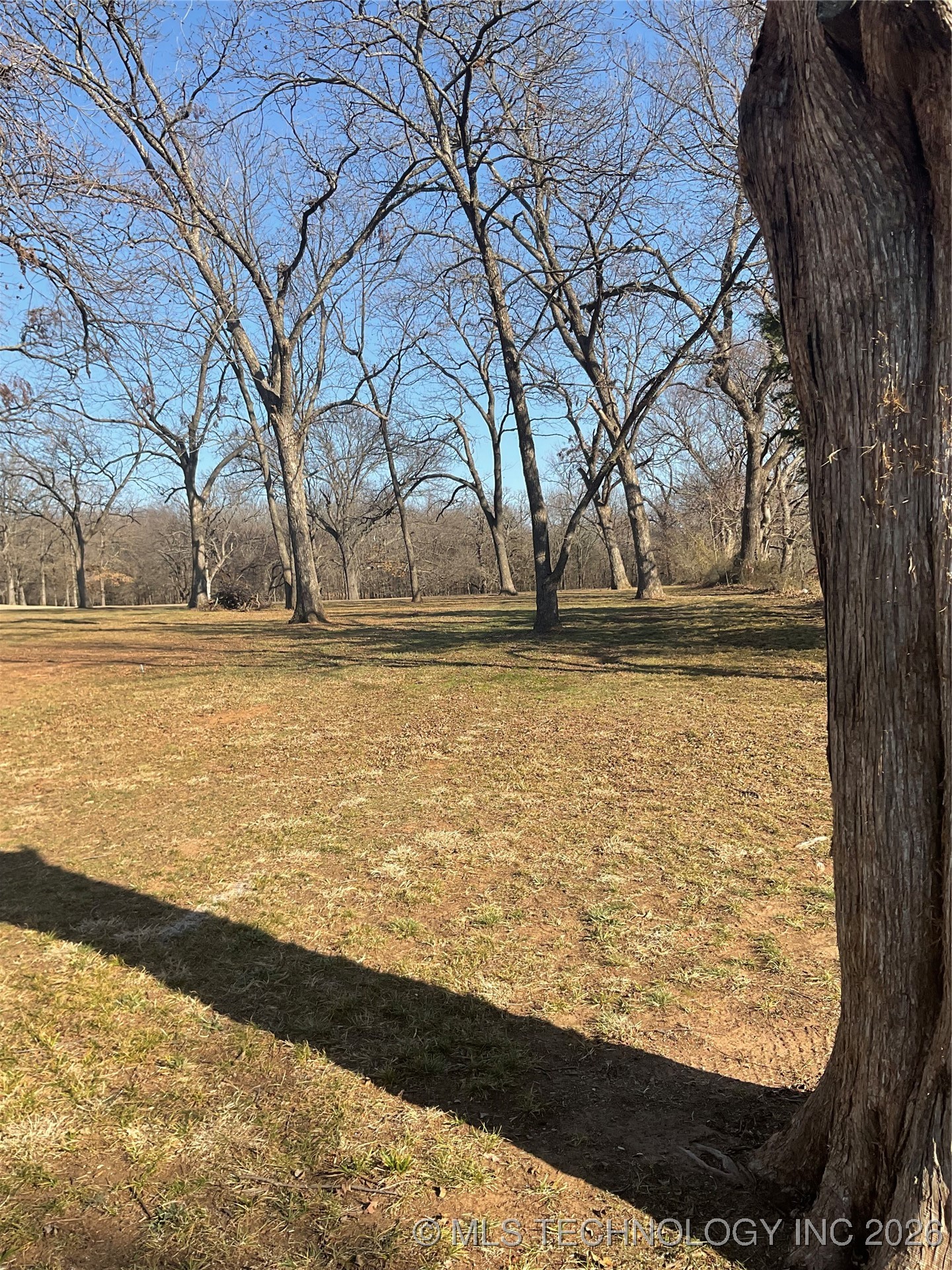 4850 Jaco Lane Property Photo 2