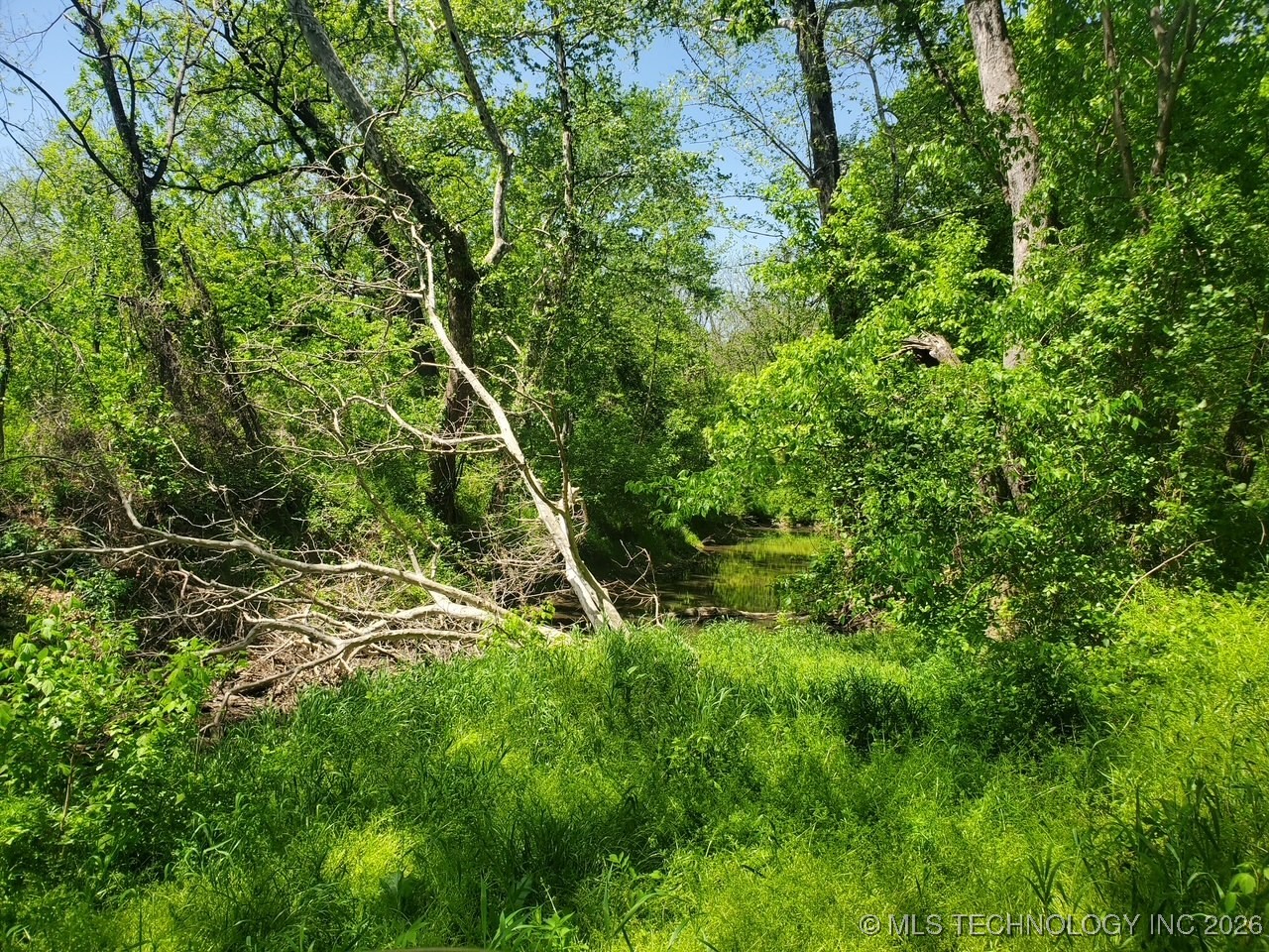 23316 S Hwy 88 Property Photo 3