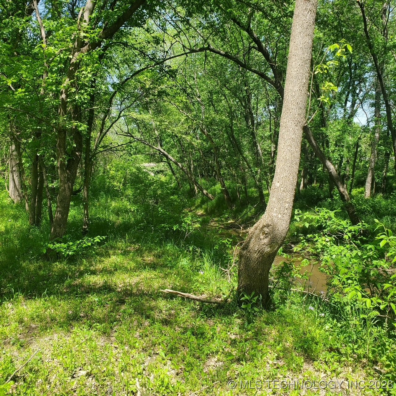 23316 S Hwy 88 Property Photo 5