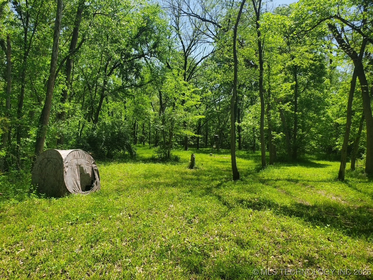 23316 S Hwy 88 Property Photo 6