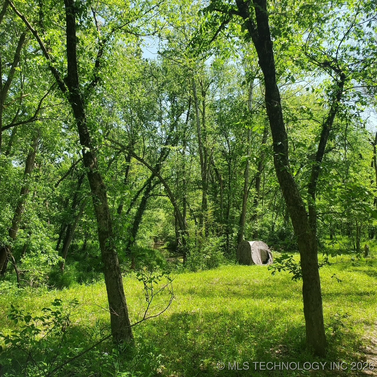 23316 S Hwy 88 Property Photo 7