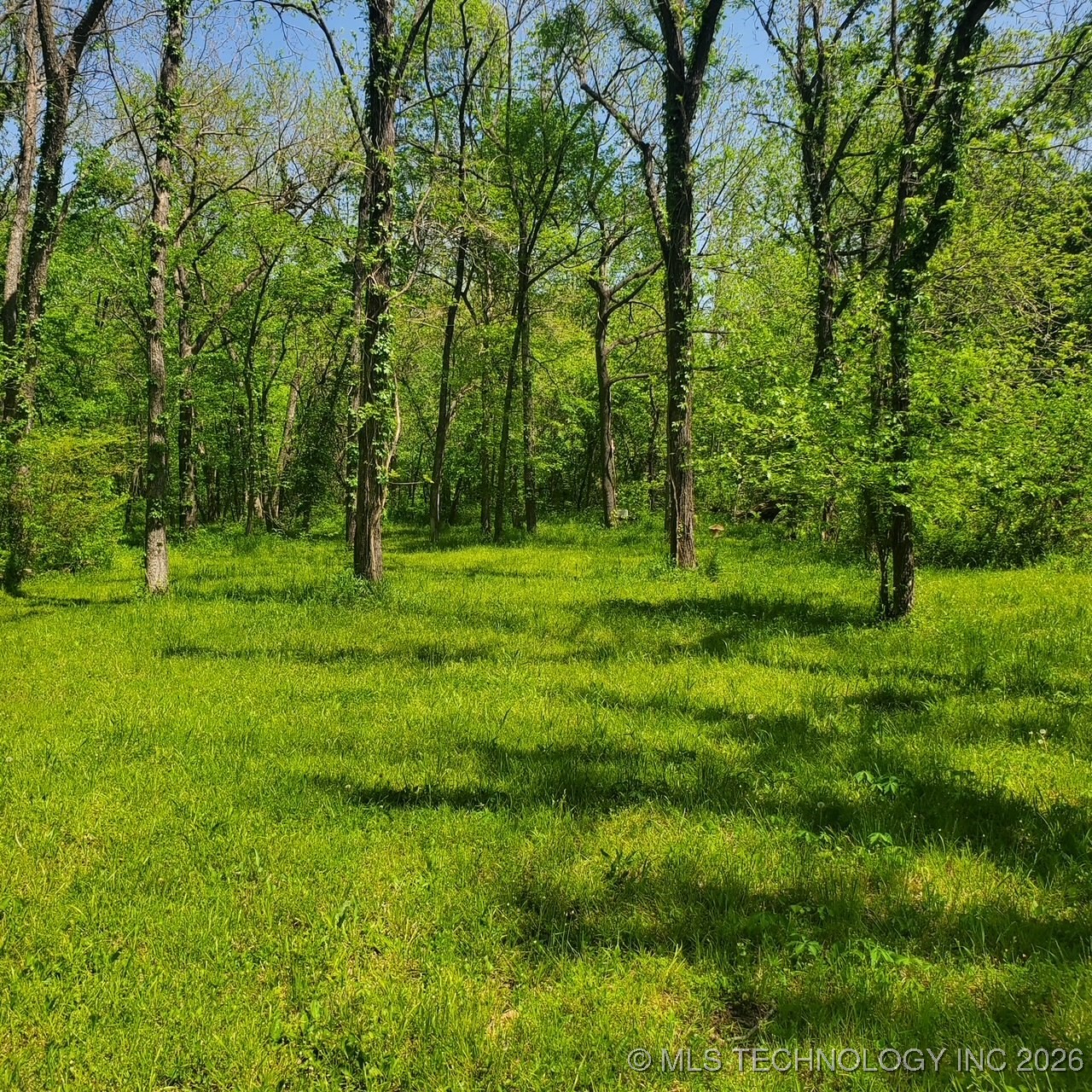 23316 S Hwy 88 Property Photo 8