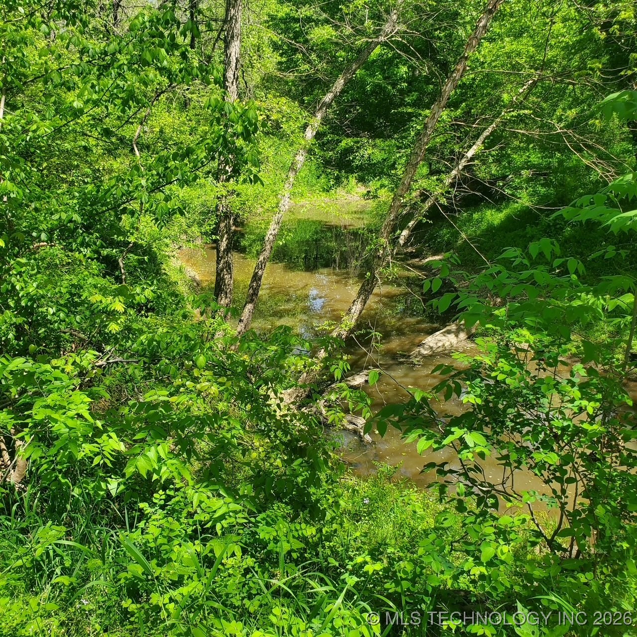 23316 S Hwy 88 Property Photo 9